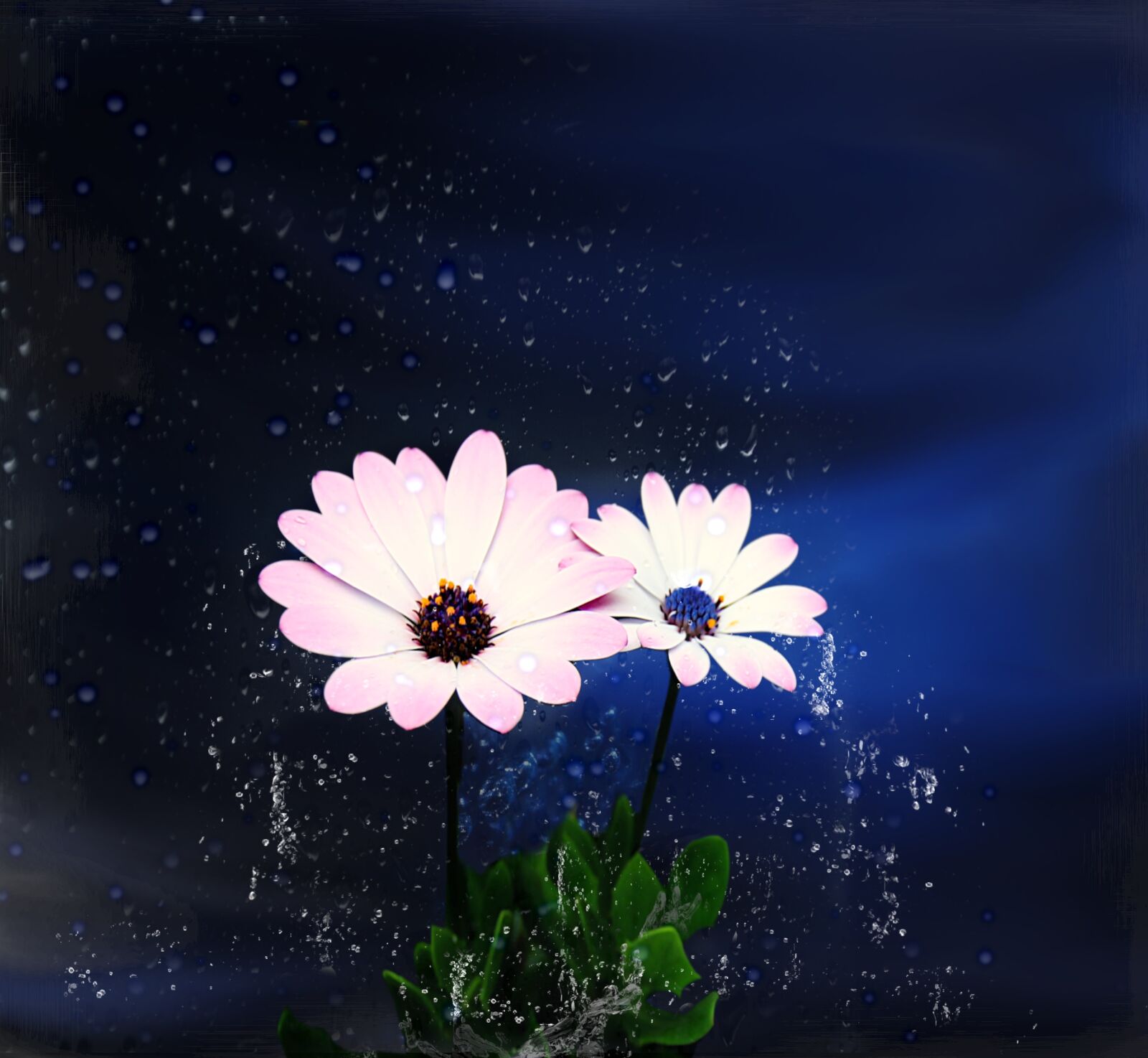 Canon EOS 60D sample photo. Flower, nature, spring photography