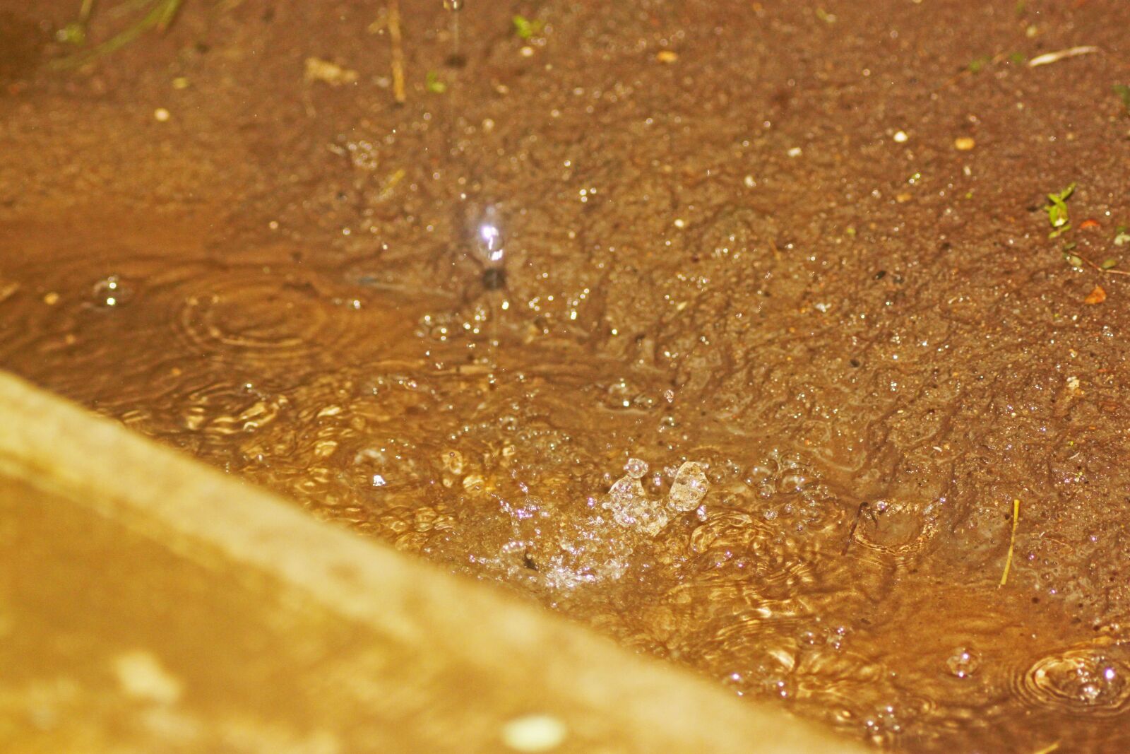 Canon EOS 500D (EOS Rebel T1i / EOS Kiss X3) sample photo. Rain, puddle, water photography