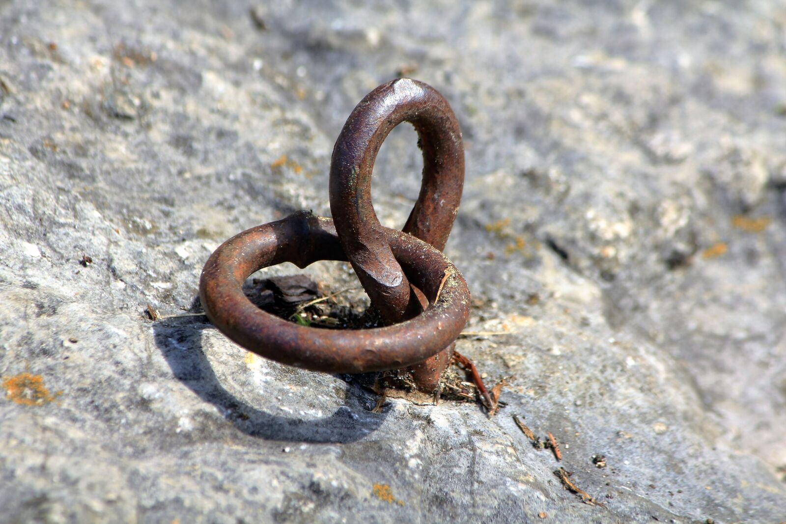 Canon EOS 550D (EOS Rebel T2i / EOS Kiss X4) sample photo. Rings, two, together photography