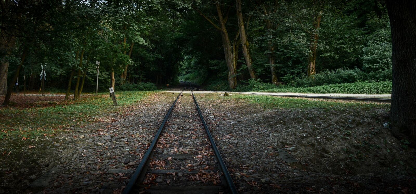 Nikon D3200 sample photo. Szilvasvarad, railway, forest photography