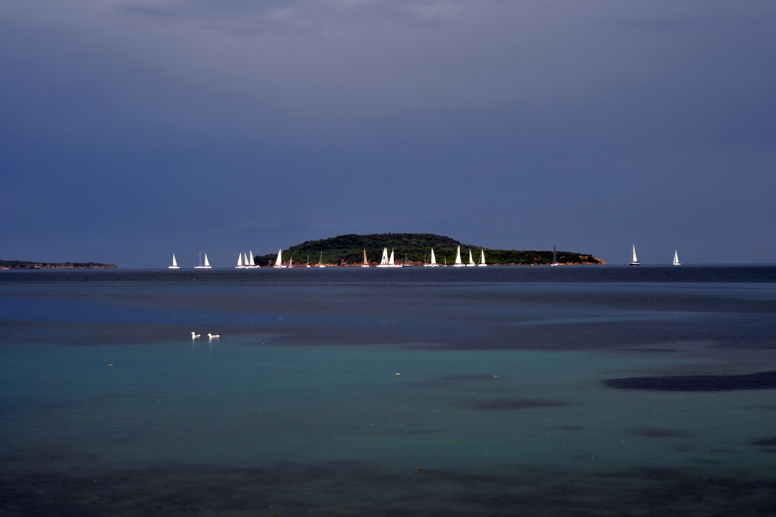 Nikon D3100 sample photo. Landscape, nature, open photography