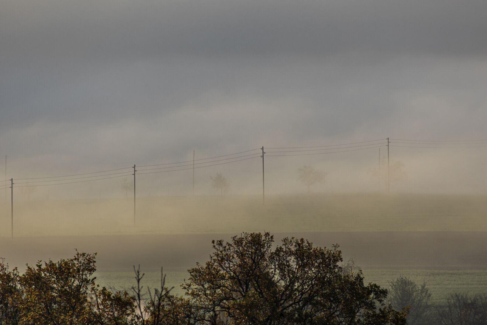 Canon EOS R sample photo. Fog, landscape, phone lines photography