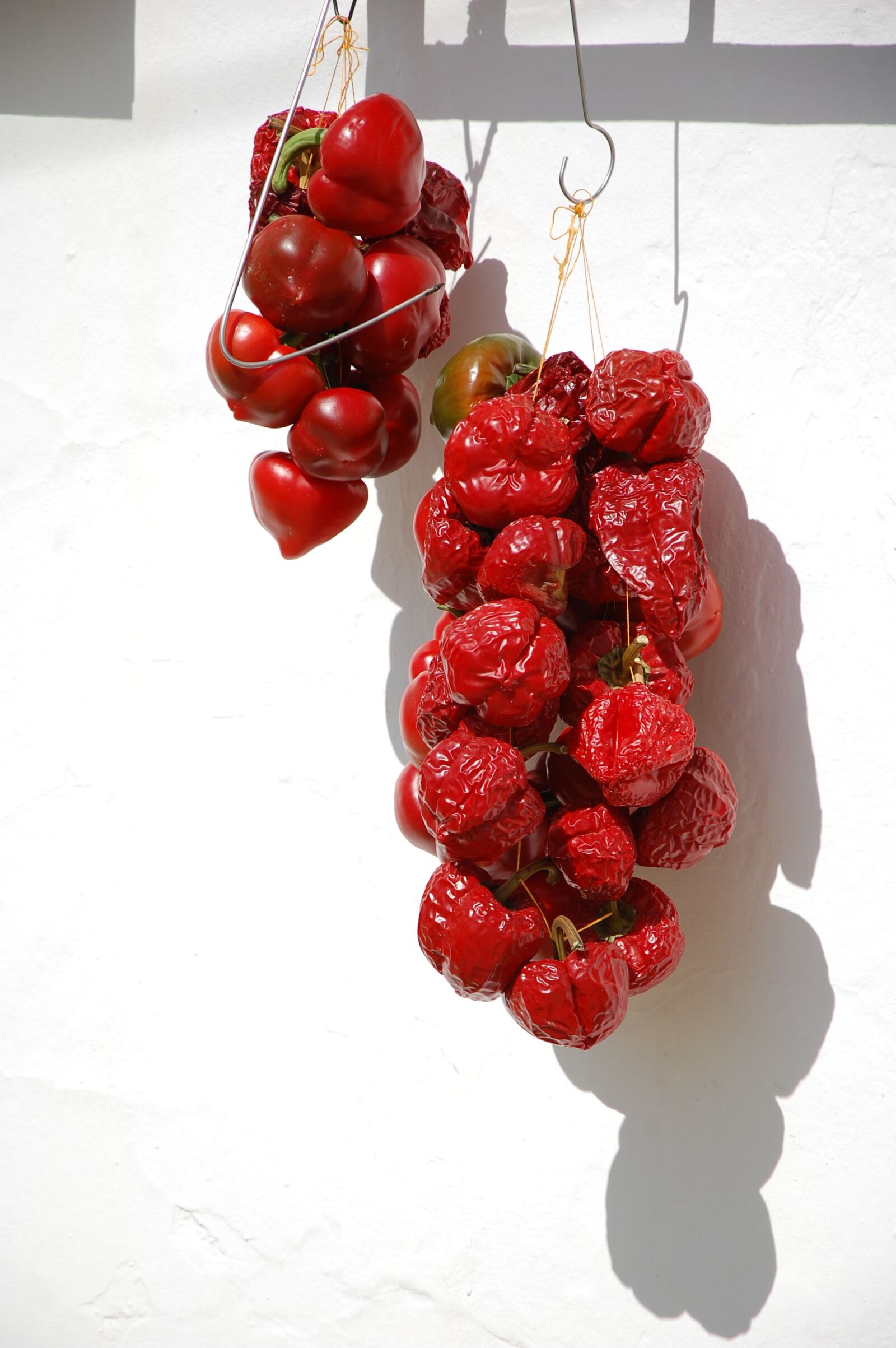 Nikon D40 sample photo. Paprika, wall, white photography