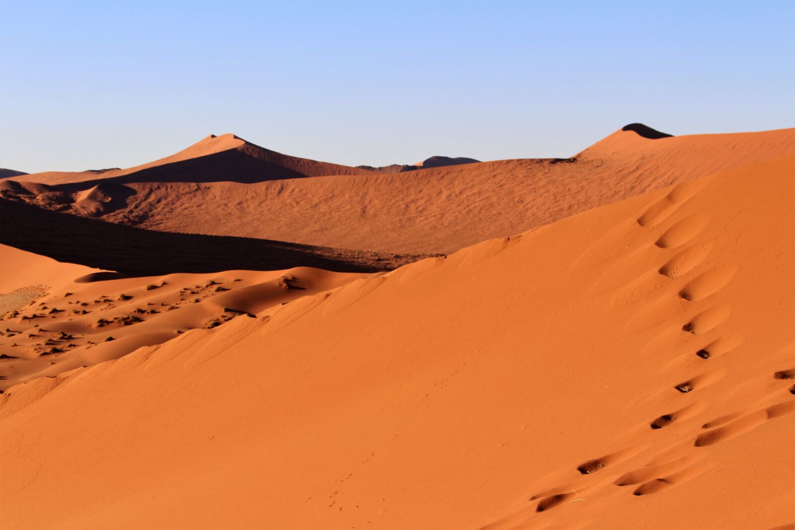 Canon EOS 700D (EOS Rebel T5i / EOS Kiss X7i) sample photo. Dune, namibia, africa photography