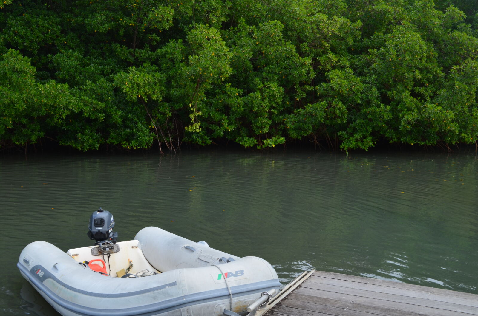 Nikon D5100 sample photo. Marin, marina, martinique photography