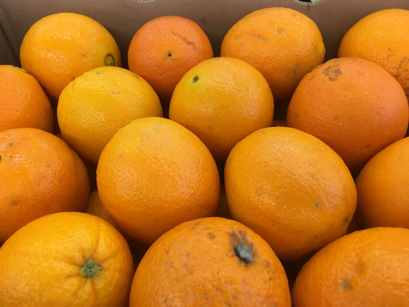 Apple iPhone 6s sample photo. Banana, box, market, minneola photography
