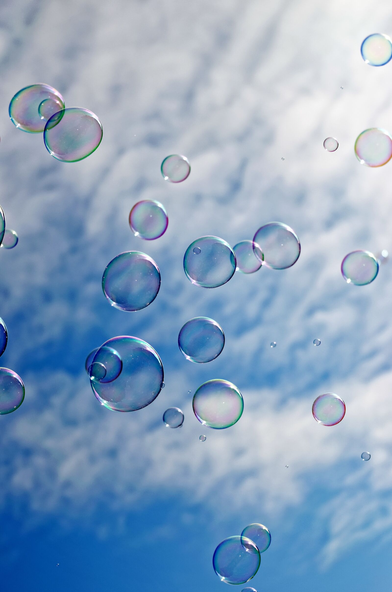 Nikon D5100 sample photo. Bubbles, transparent, the soap photography
