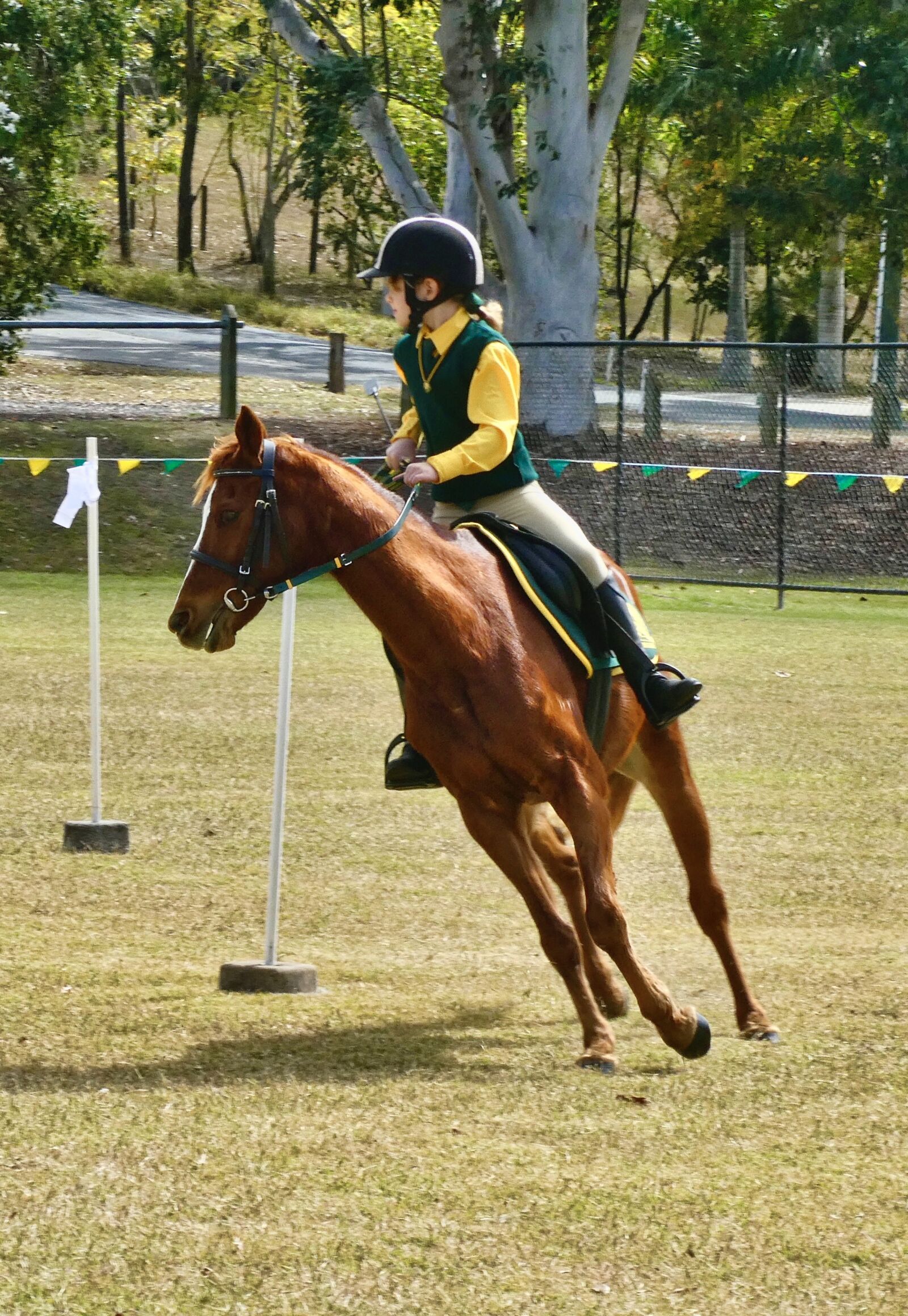 Panasonic Lumix DC-ZS70 (Lumix DC-TZ90) sample photo. Horse, rider, equine photography