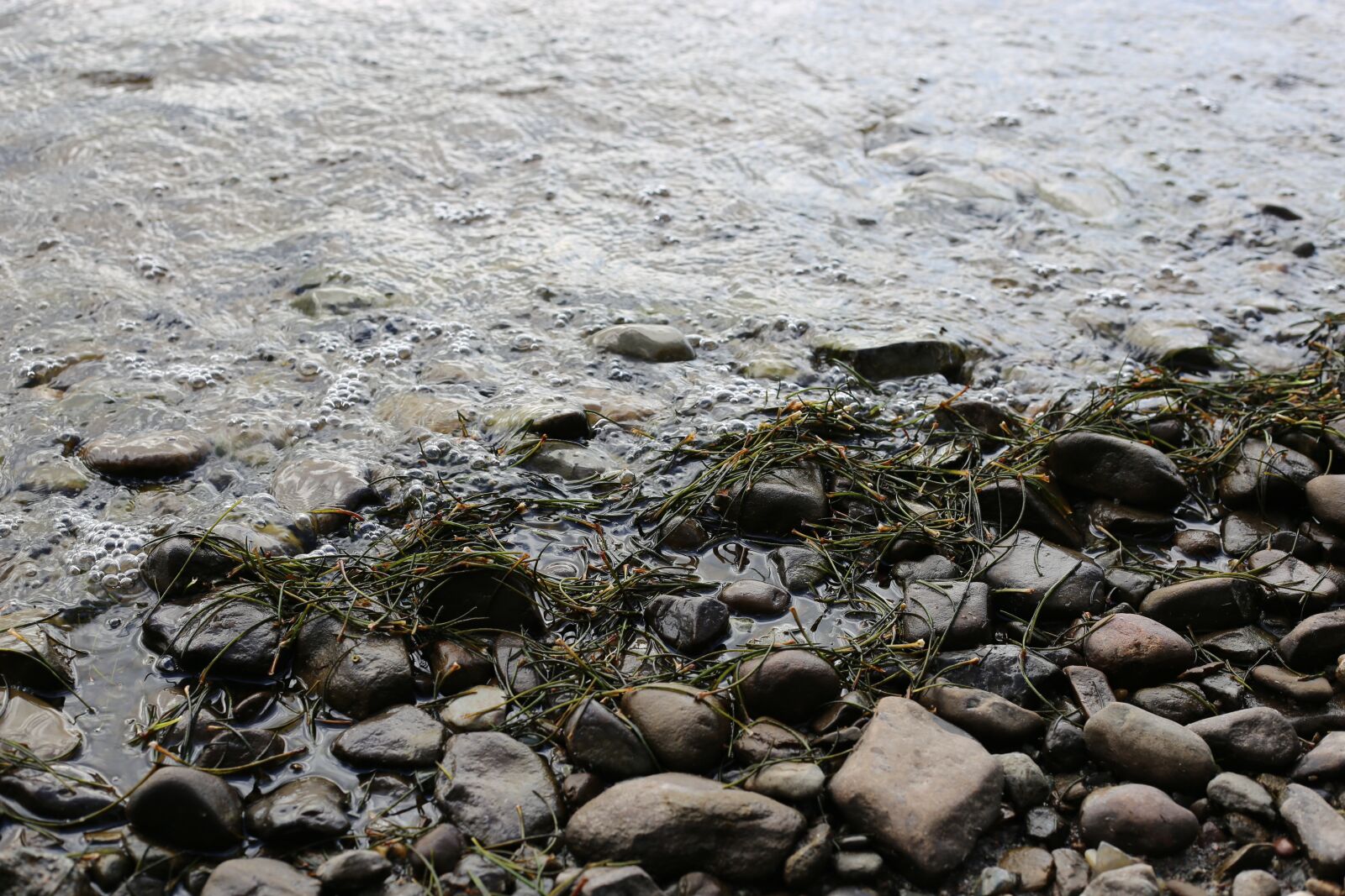 Canon EF 50mm F1.8 STM sample photo. Water, loch, lochside photography