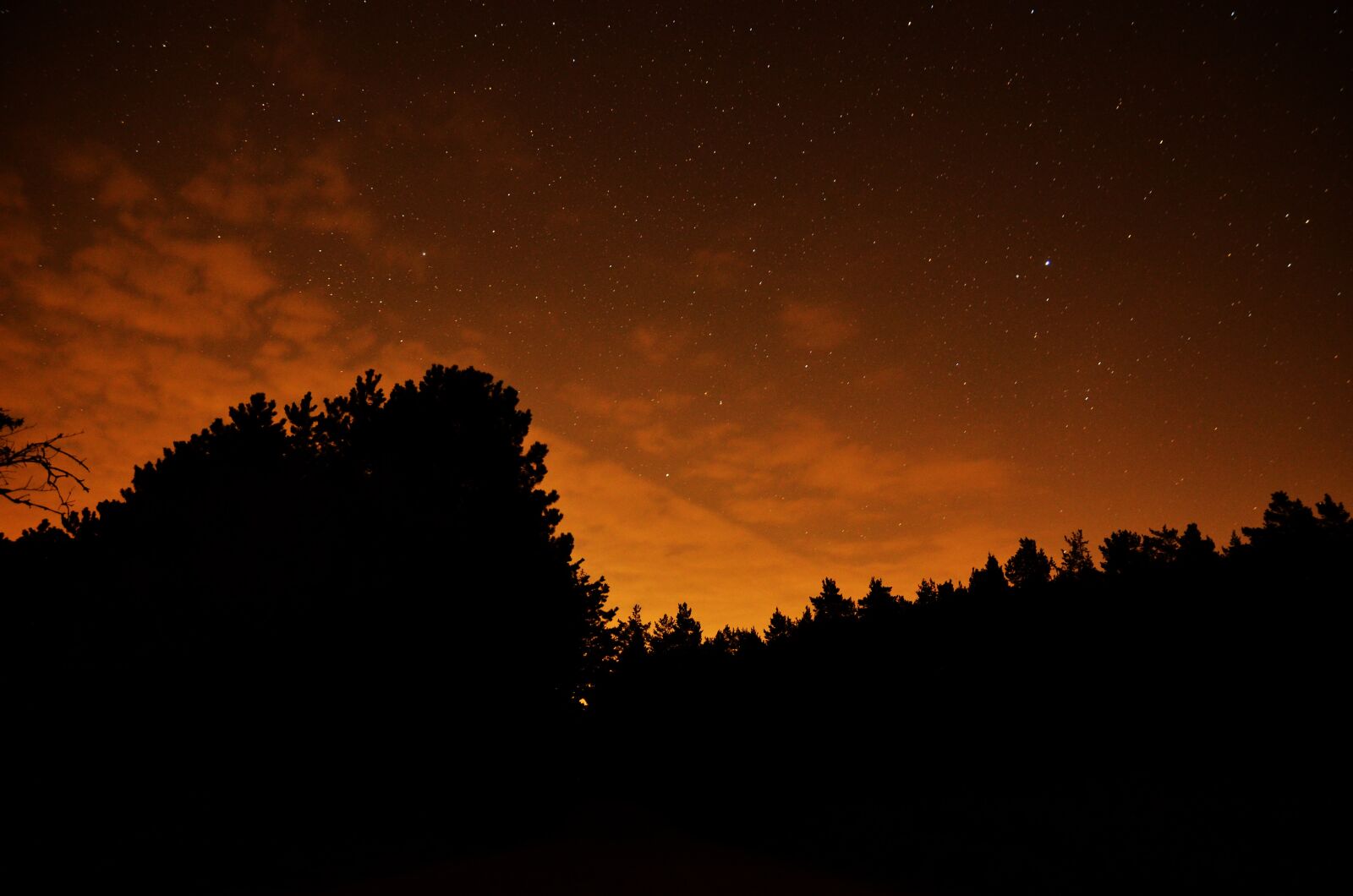 Nikon D5100 sample photo. Starry sky, astrology, sky photography