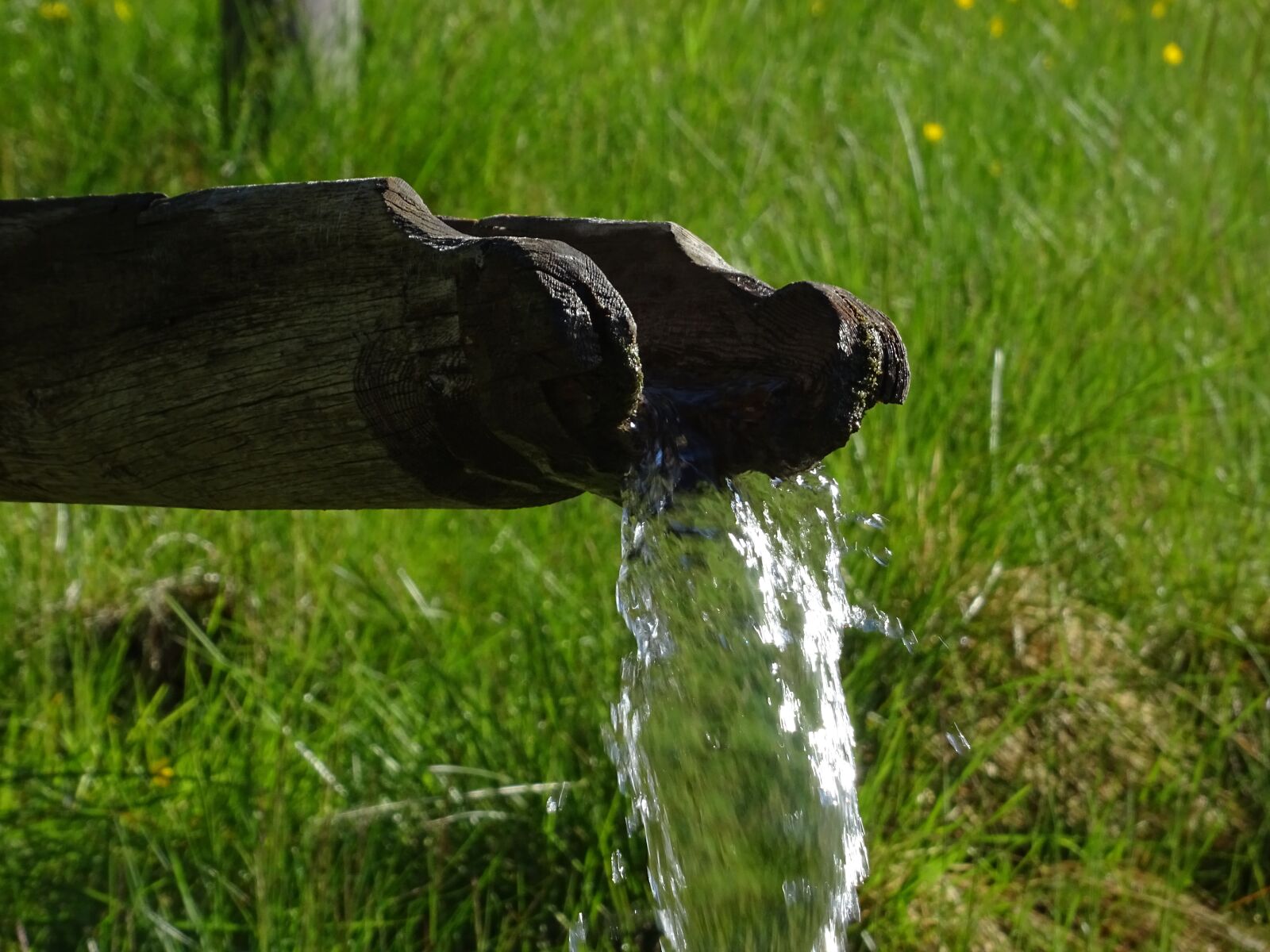 Sony DSC-HX60 sample photo. Water feature, meadow, watercourse photography
