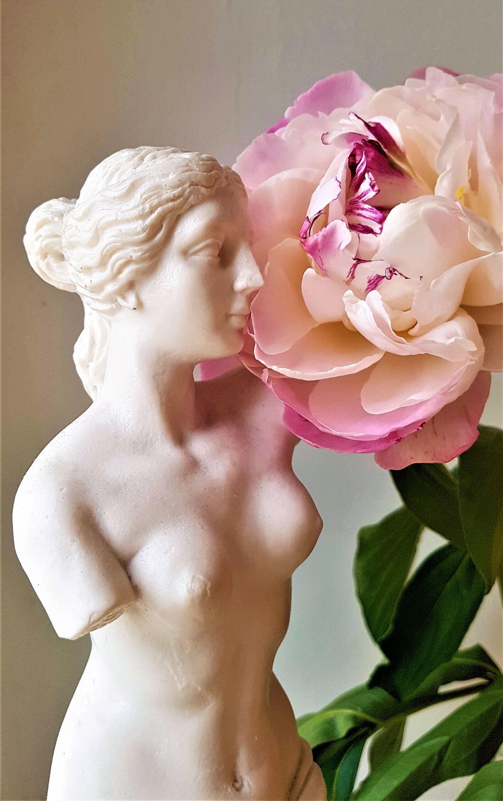 Samsung Galaxy S7 Edge sample photo. Venus, beautiful, beauty photography