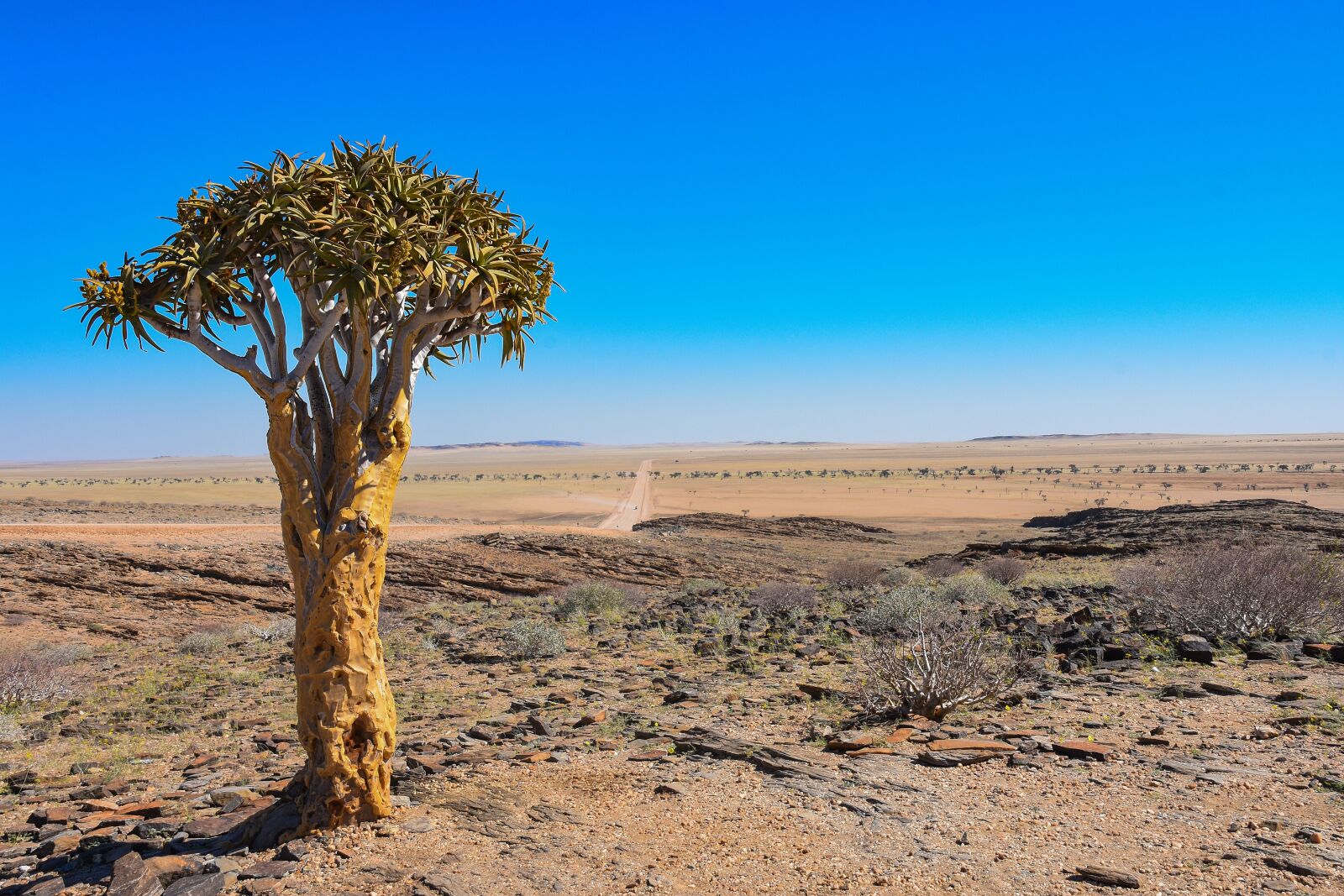 Nikon D7200 sample photo. Namibia, africa, desert photography