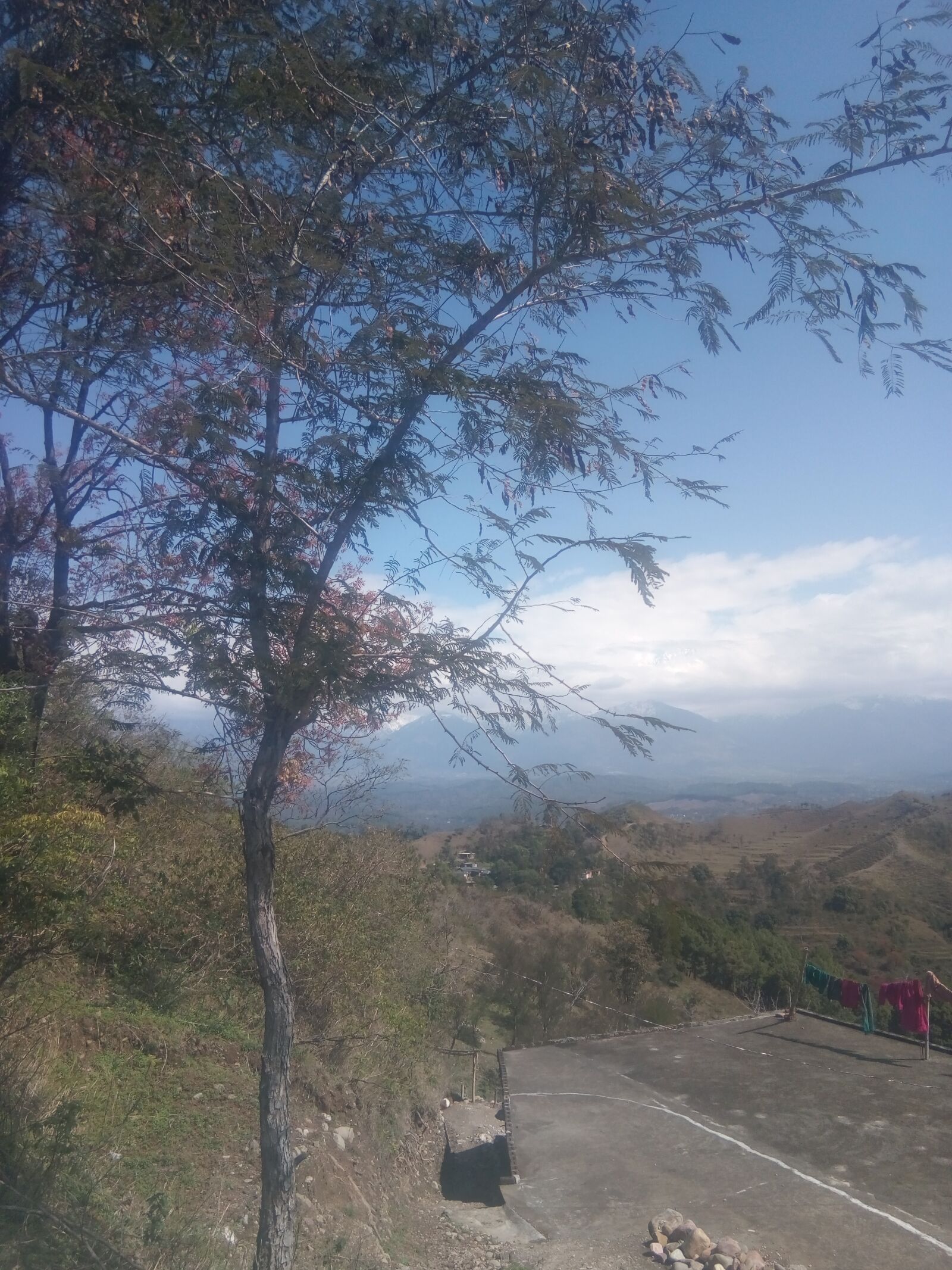 GIONEE F103 Pro sample photo. Landscape, nature, tree photography