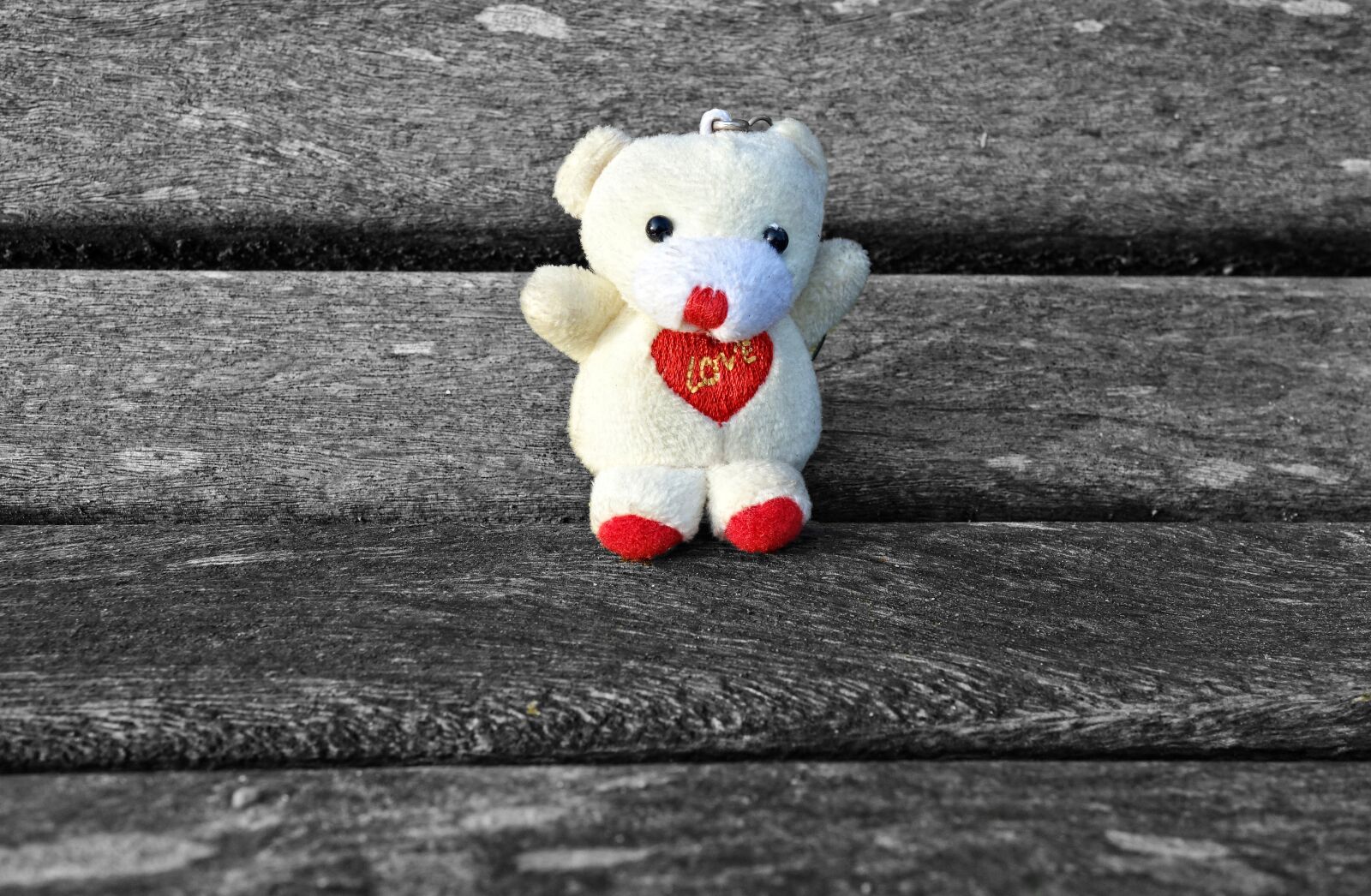 Sony Cyber-shot DSC-RX100 sample photo. Bear, cuddly toy, stuffed photography