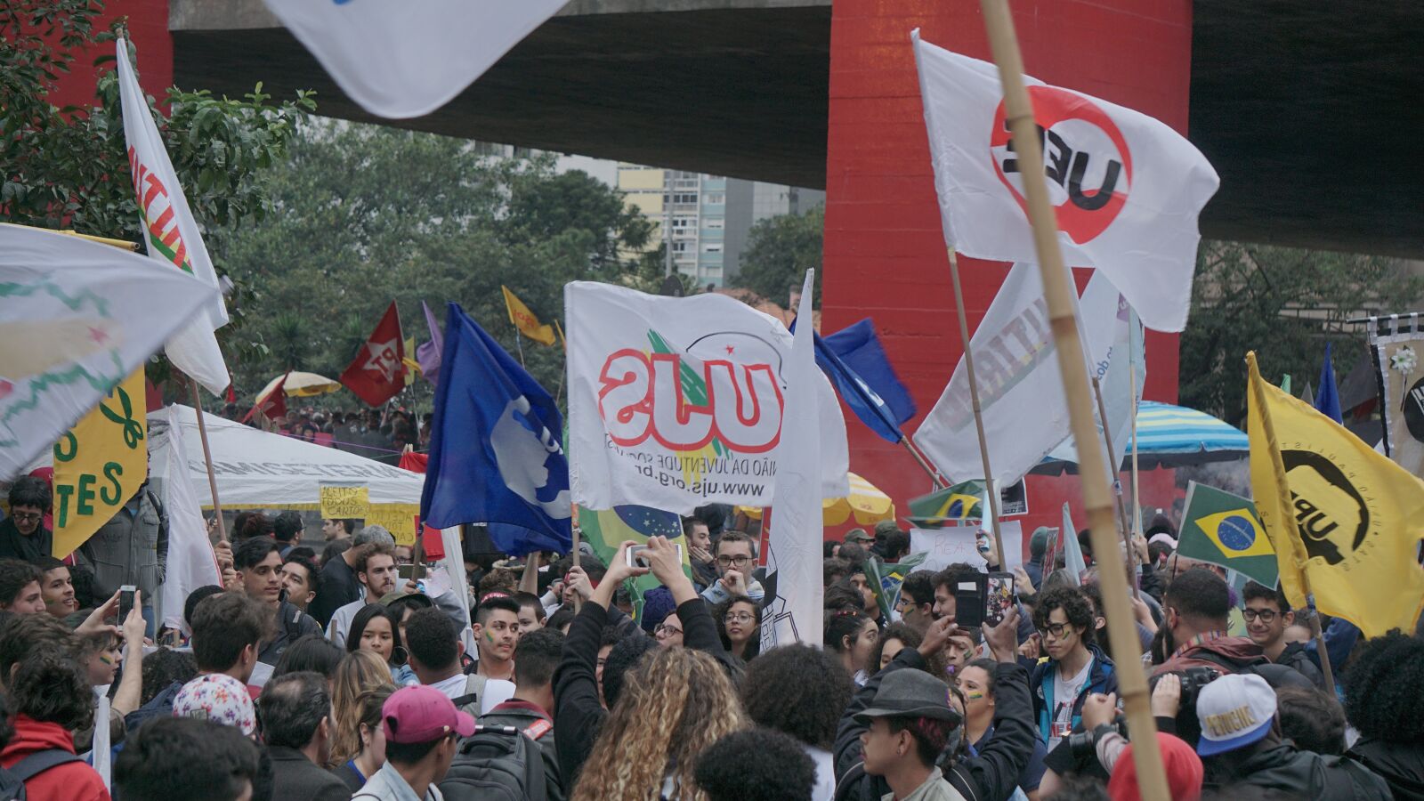 Sony E 55-210mm F4.5-6.3 OSS sample photo. Demonstration, saopaulo, city photography