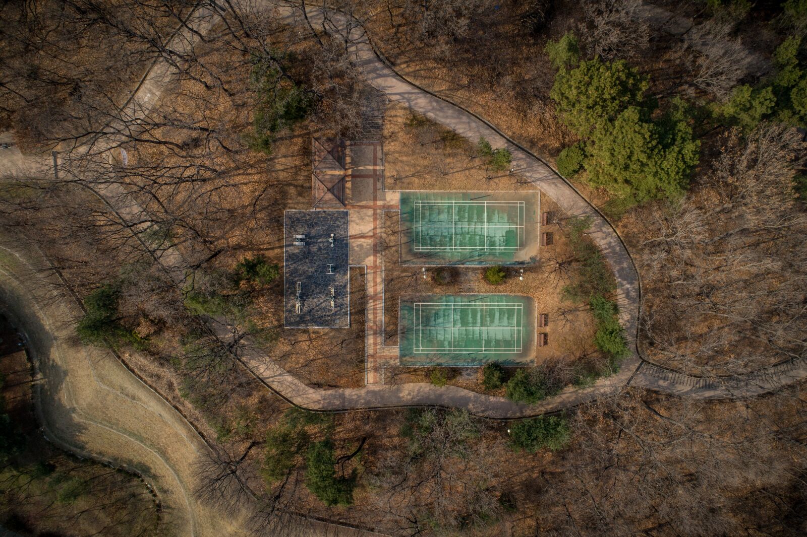 DJI FC6310 sample photo. Nature, wood, floor photography