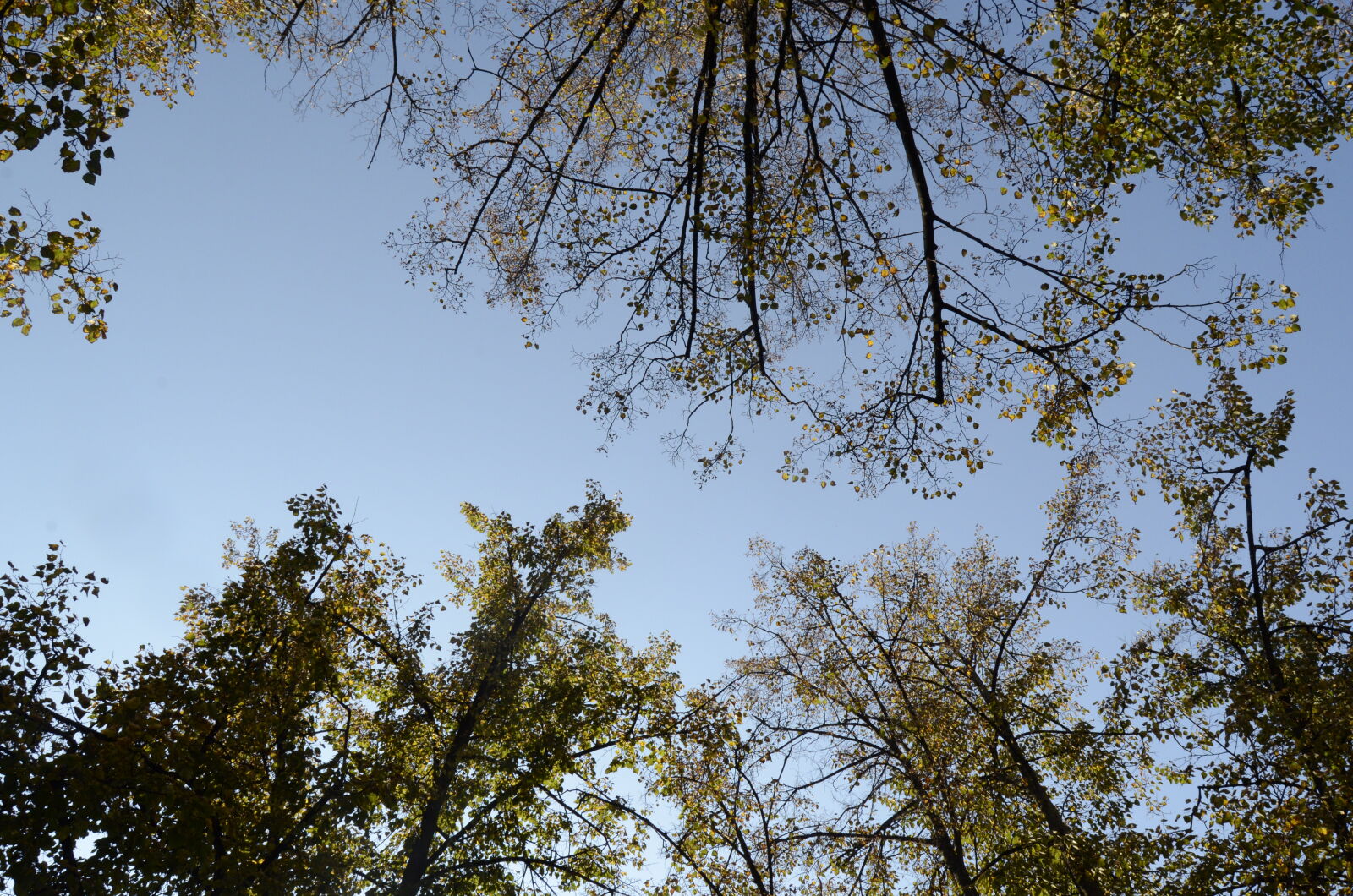 Nikon D5100 sample photo