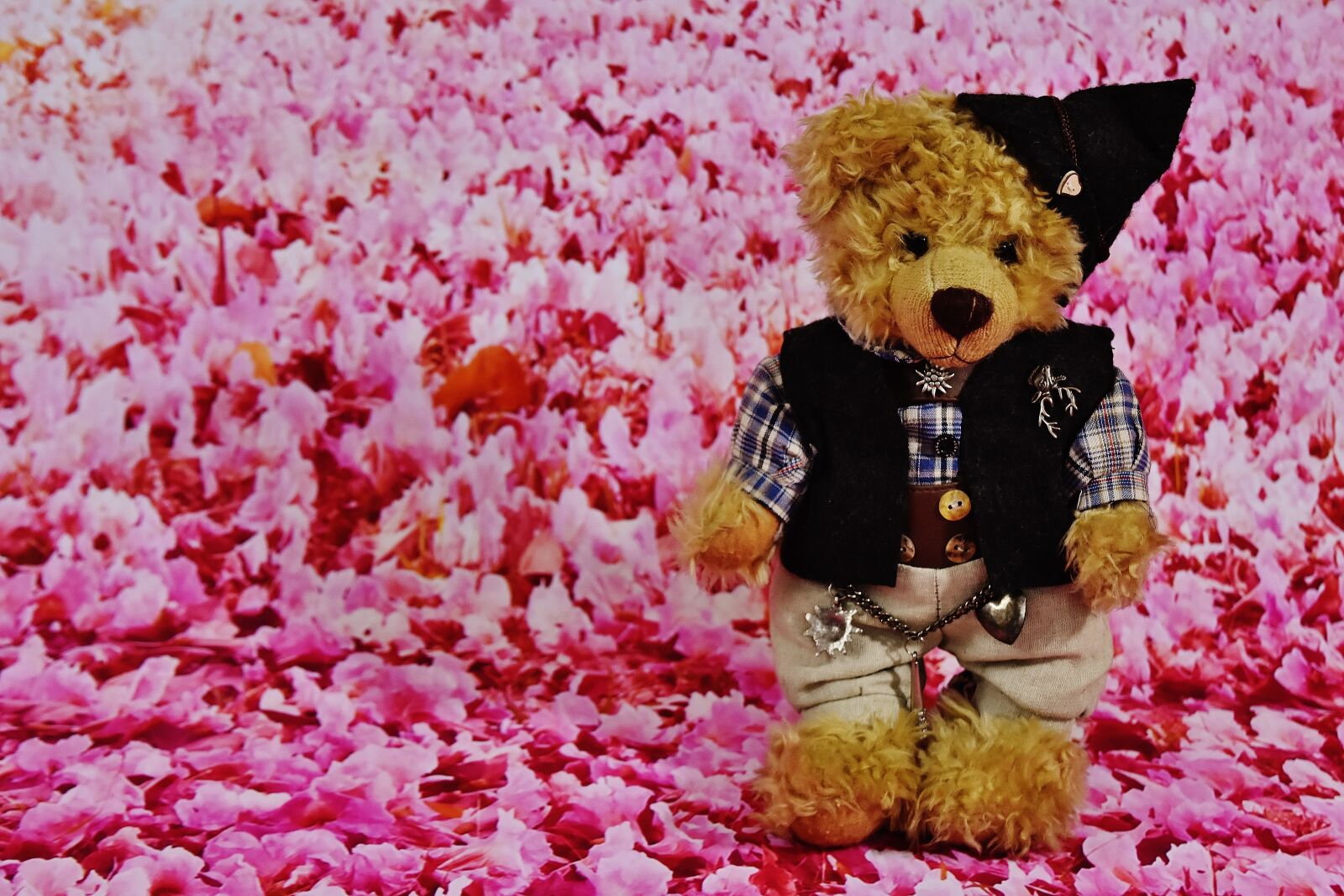 Nikon D7200 sample photo. Teddy, costume, flowers photography