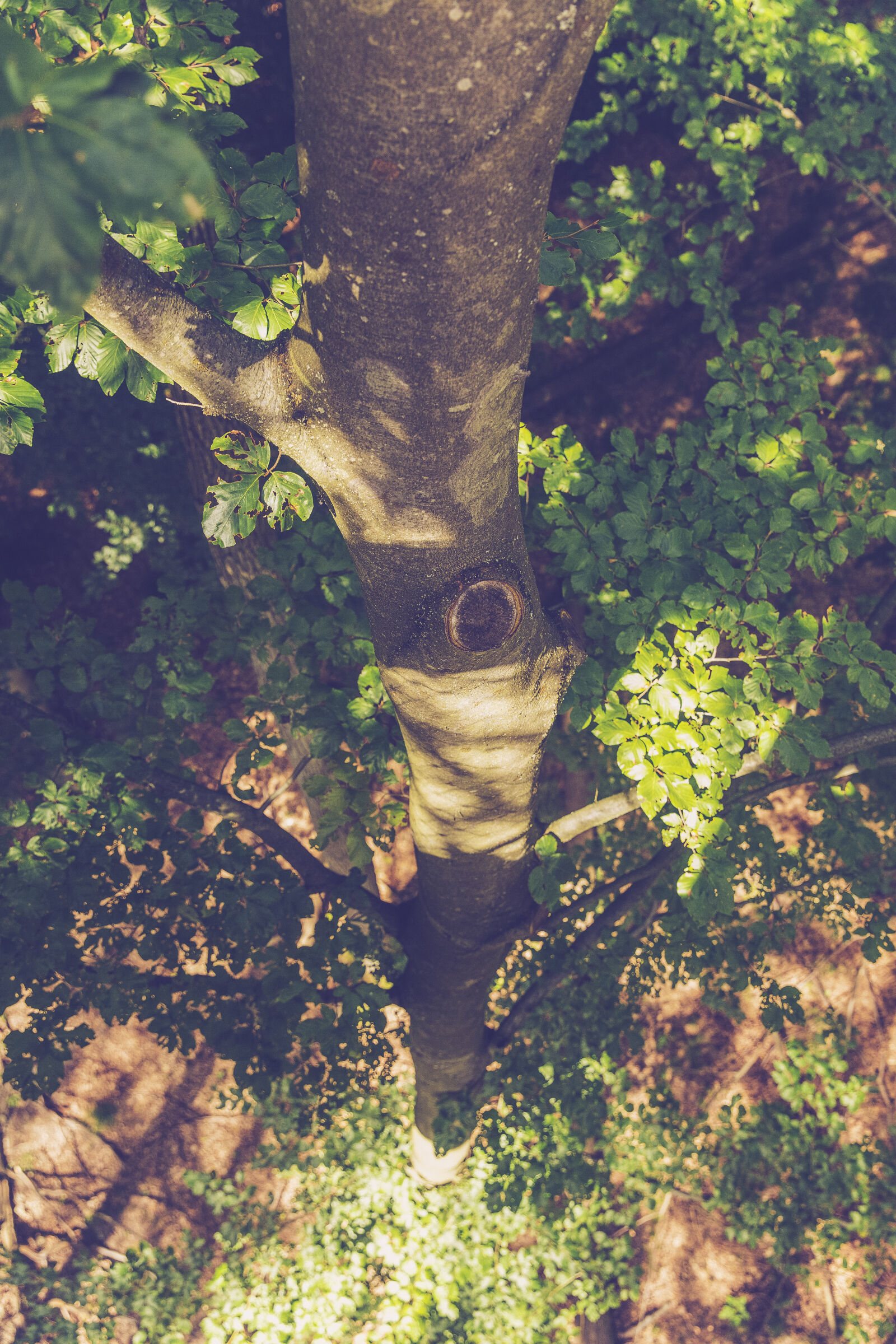Canon EF 24-70mm F2.8L II USM sample photo