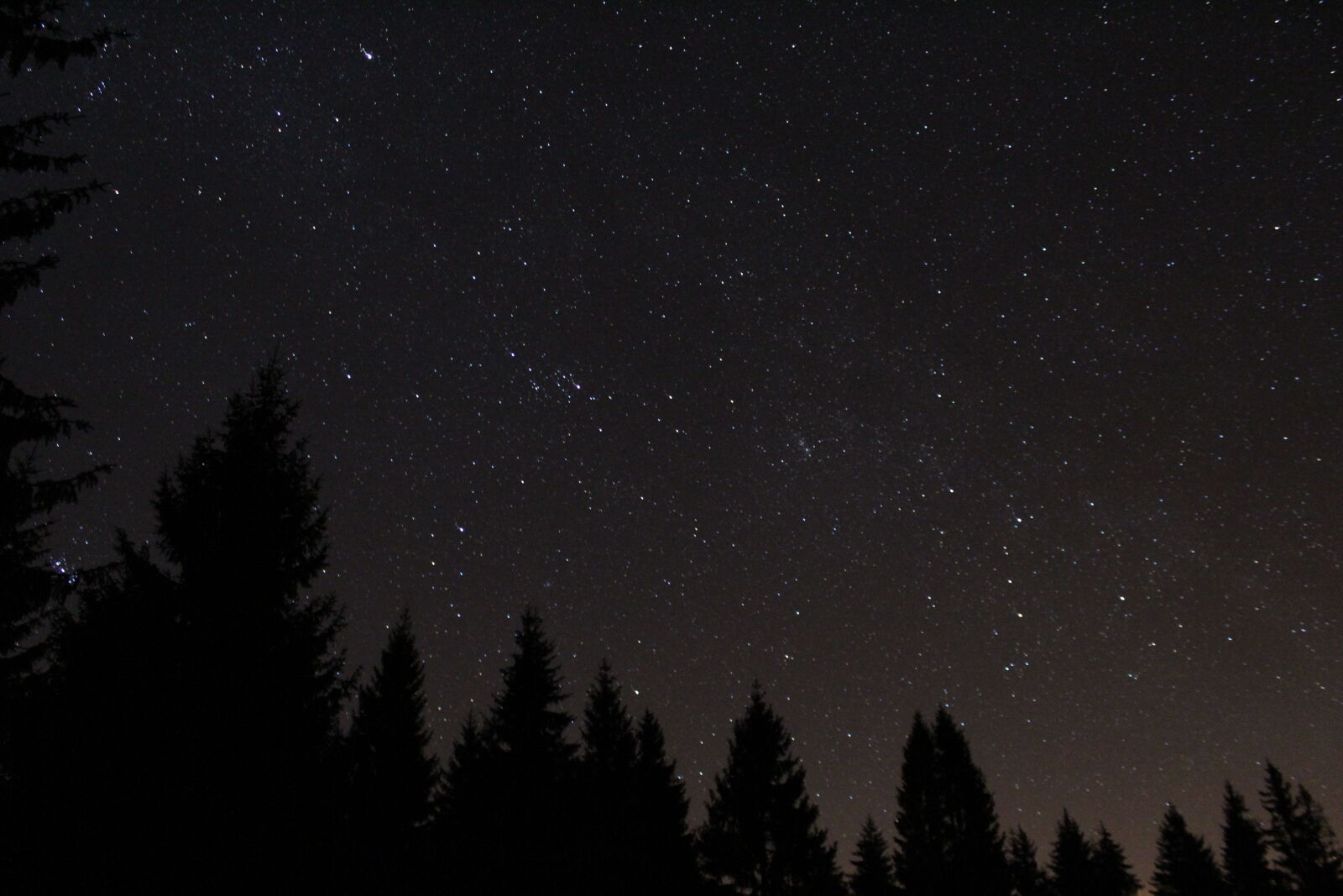 Canon EOS 1300D (EOS Rebel T6 / EOS Kiss X80) sample photo. Clear, sky, cosmic, forest photography