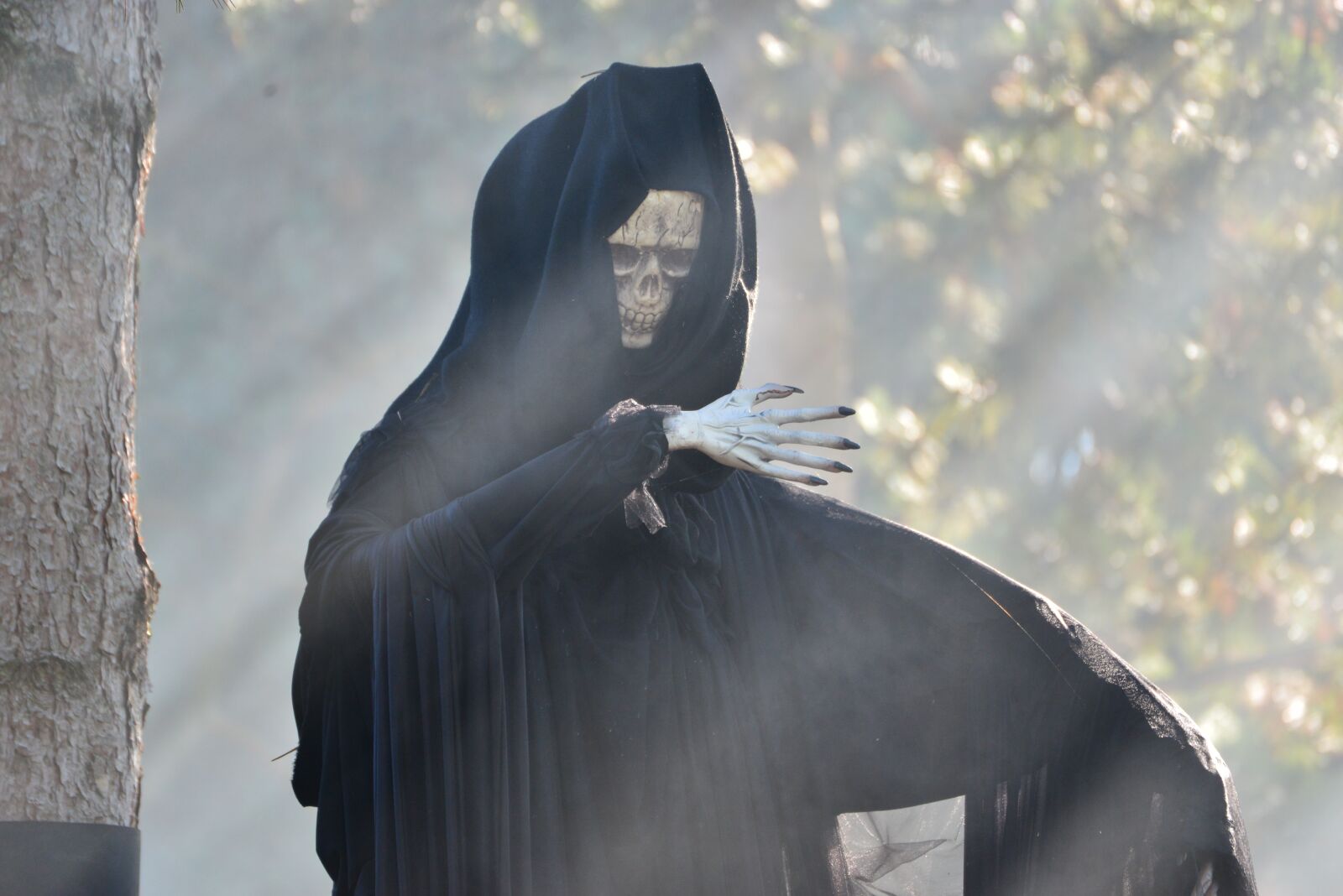 Nikon D610 sample photo. Halloween, skeleton, death photography