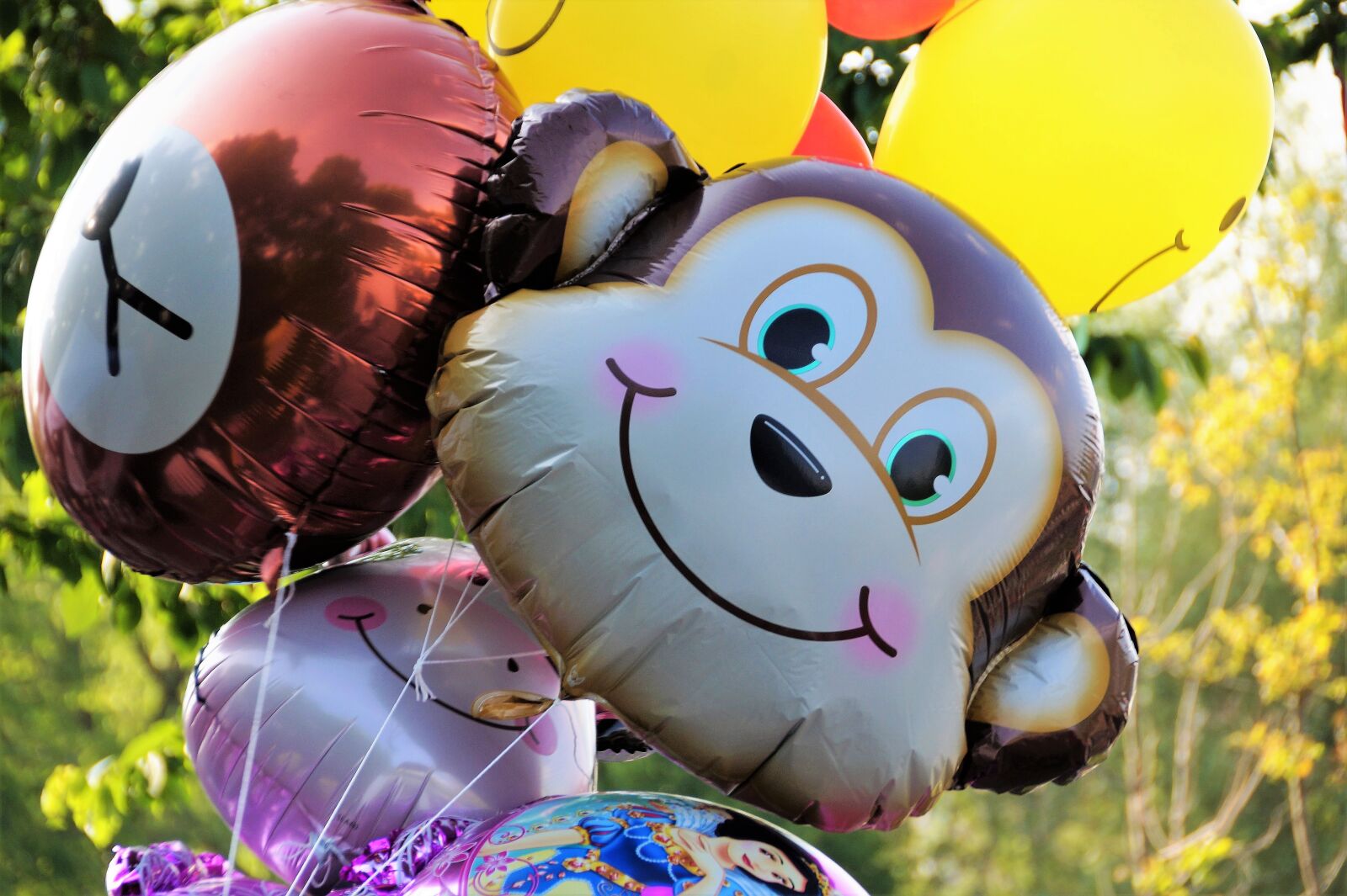 Sony SLT-A58 sample photo. Balloons, inflatable, flies photography