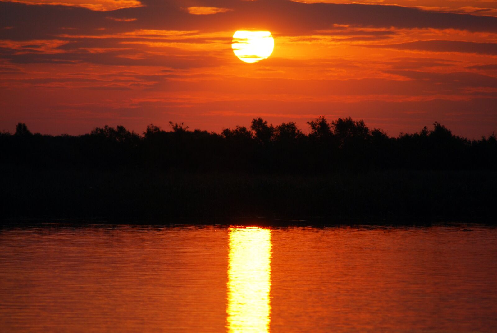 Nikon D60 sample photo. Sunset, body of water photography