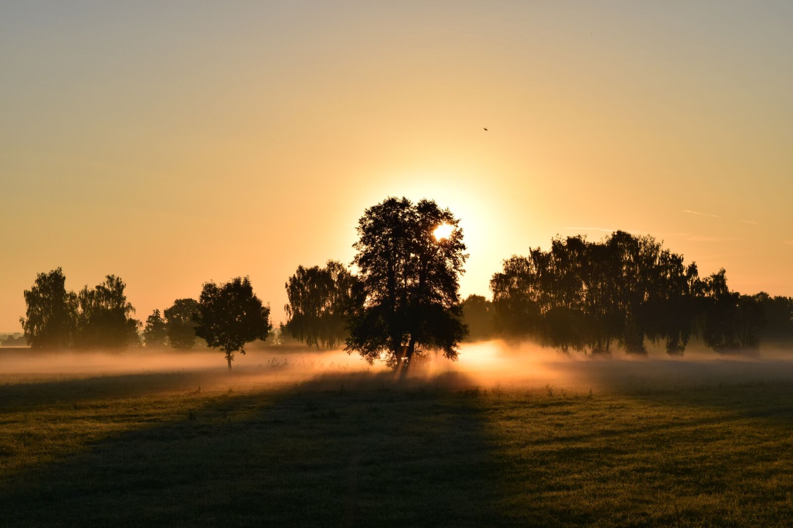 Nikon D3300 sample photo. Sunrise, morning mist, morgenrot photography