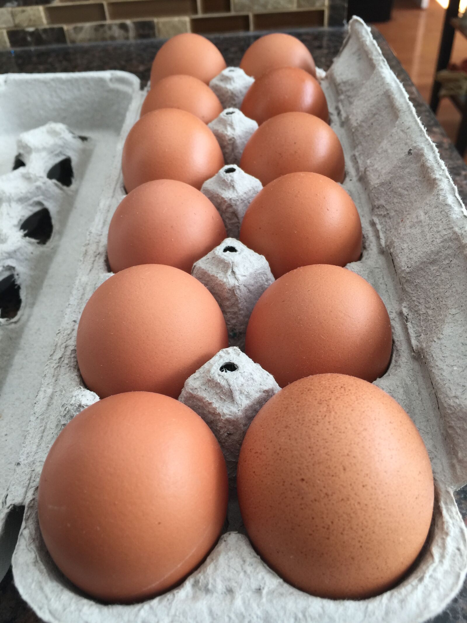iPhone 6 Plus back camera 4.15mm f/2.2 sample photo. Brown, eggs, carton, eggs photography