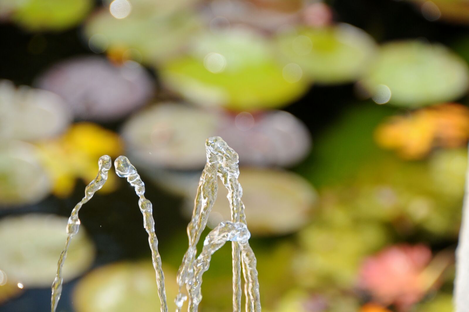 Nikon D300 sample photo. Fountain, water, pond photography