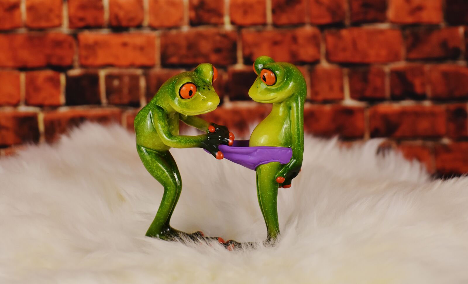 Nikon D7200 sample photo. Frogs, lambskin, curious photography