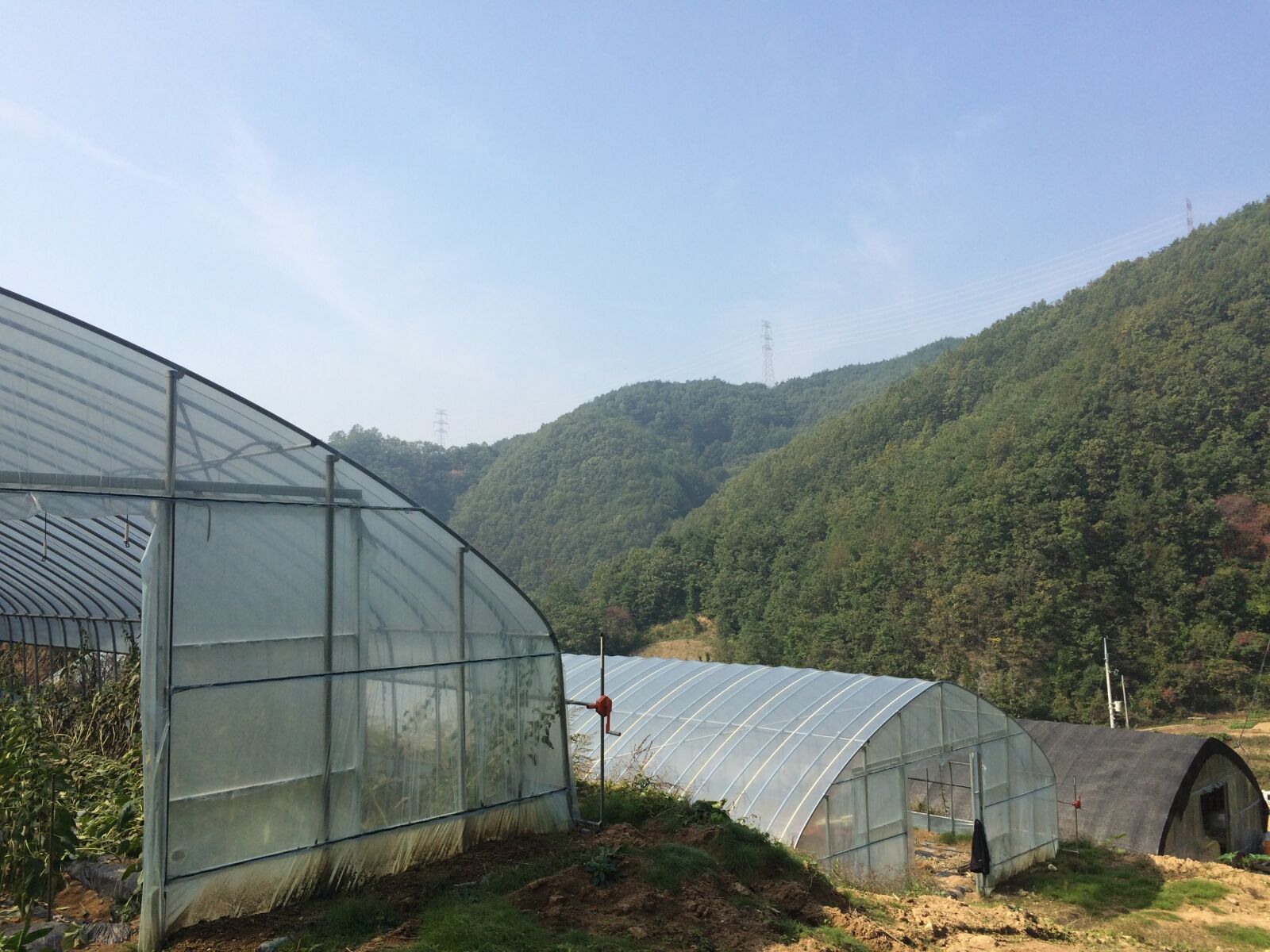 iPhone 5s back camera 4.15mm f/2.2 sample photo. Plastic greenhouse, country, autumn photography