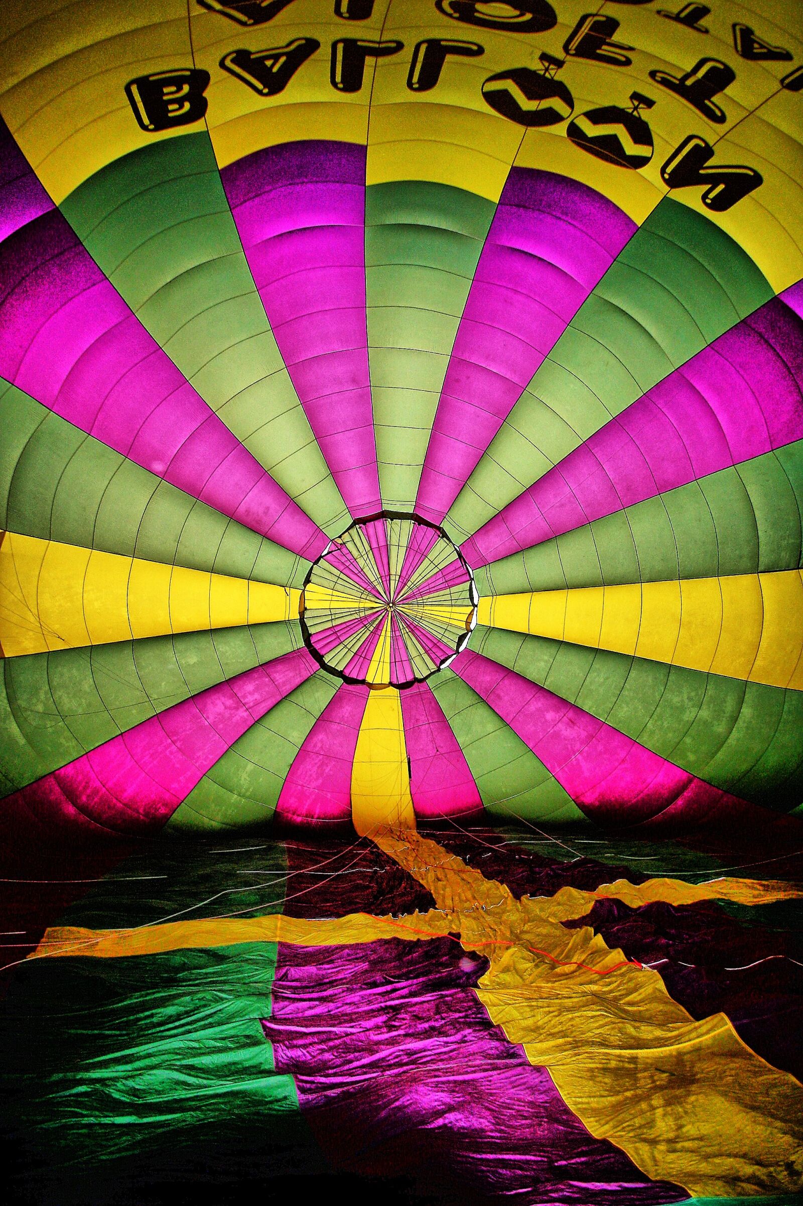 Canon EOS 450D (EOS Rebel XSi / EOS Kiss X2) sample photo. Balloon, hot air, inflating photography