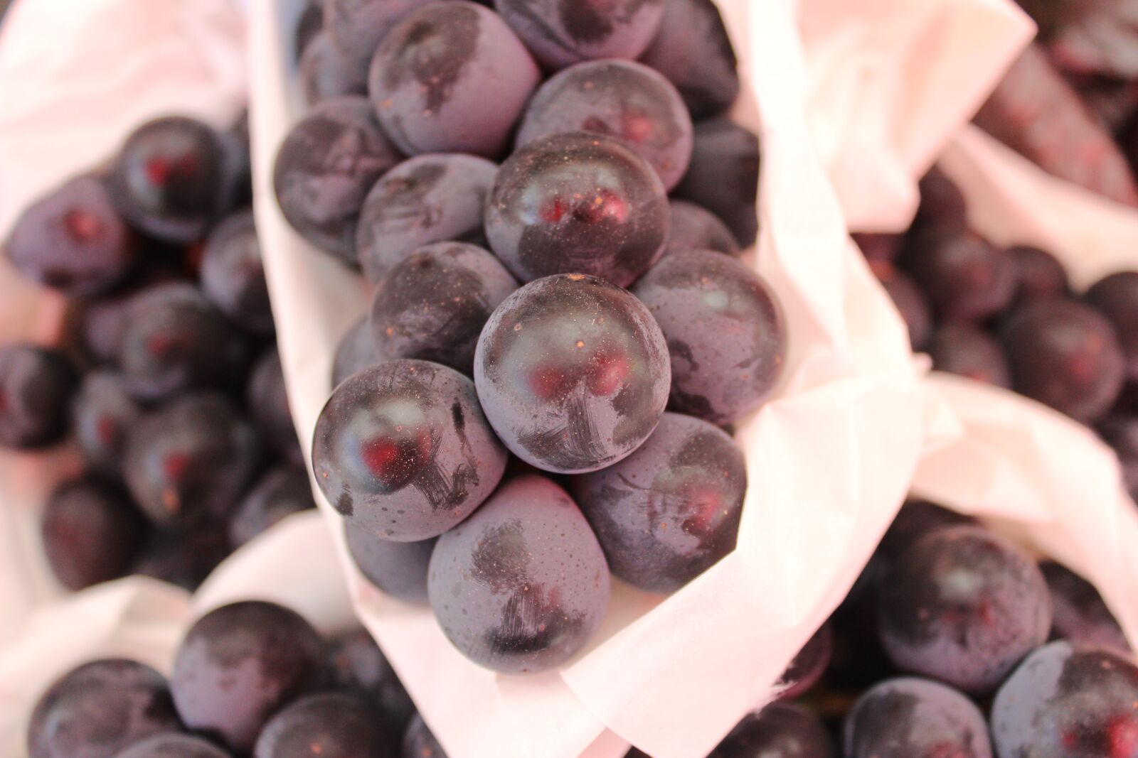 Canon EOS 600D (Rebel EOS T3i / EOS Kiss X5) sample photo. Grapes, fruit, summer days photography