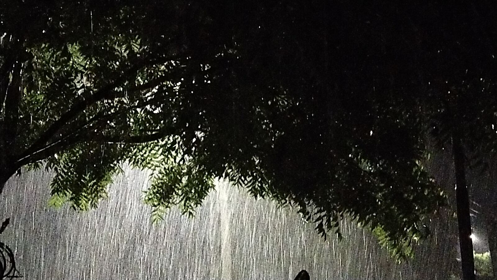 vivo 1920 sample photo. Rain, rainy, night photography