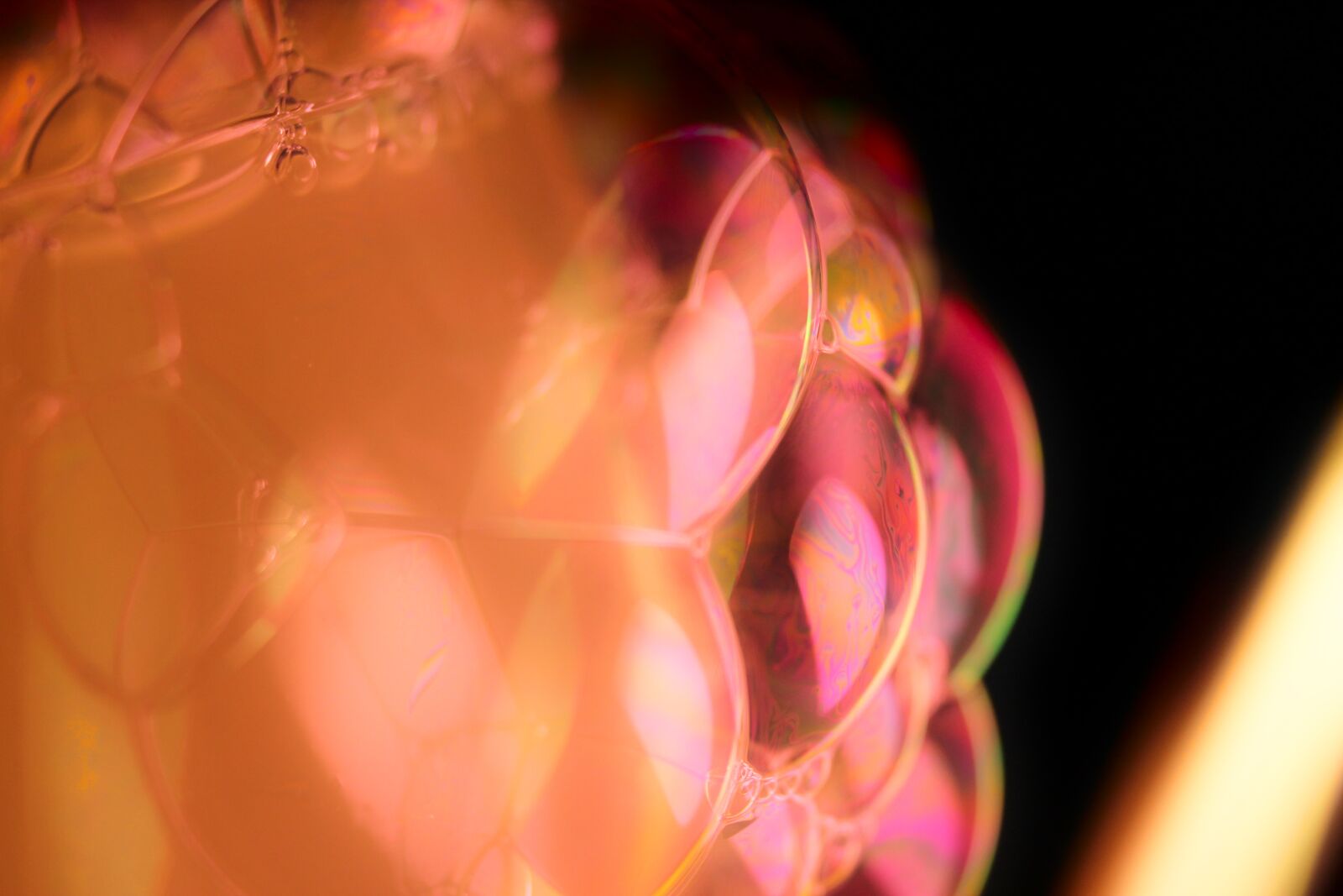 Canon EOS 1100D (EOS Rebel T3 / EOS Kiss X50) sample photo. Bubbles, blow, soap bubble photography
