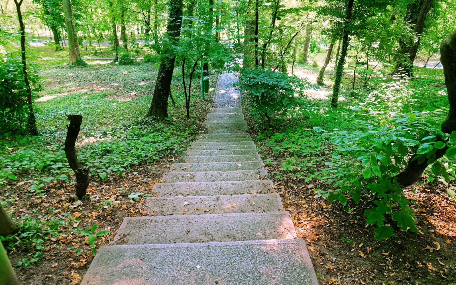 Nikon D5300 sample photo. Landscape, nature, park photography