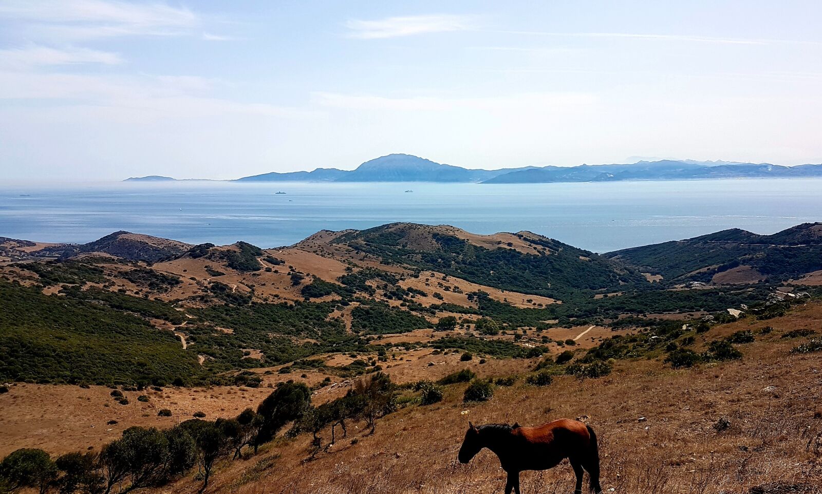Samsung Galaxy S7 sample photo. Strait of gibraltar, horse photography