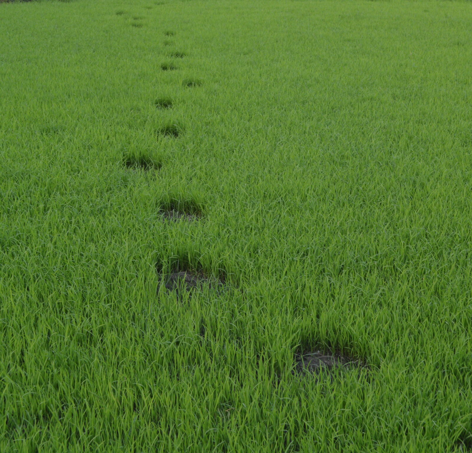 Nikon D3200 sample photo