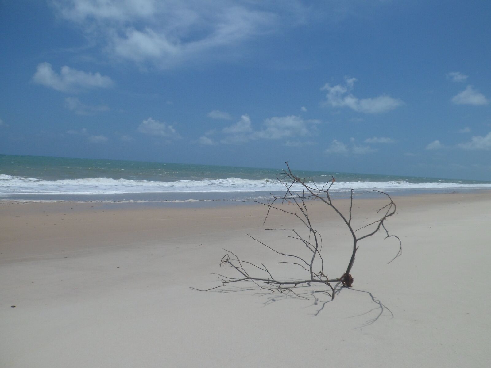 Samsung PL210, PL211 / VLUU PL210, PL211 sample photo. Beach, beach of sheep photography