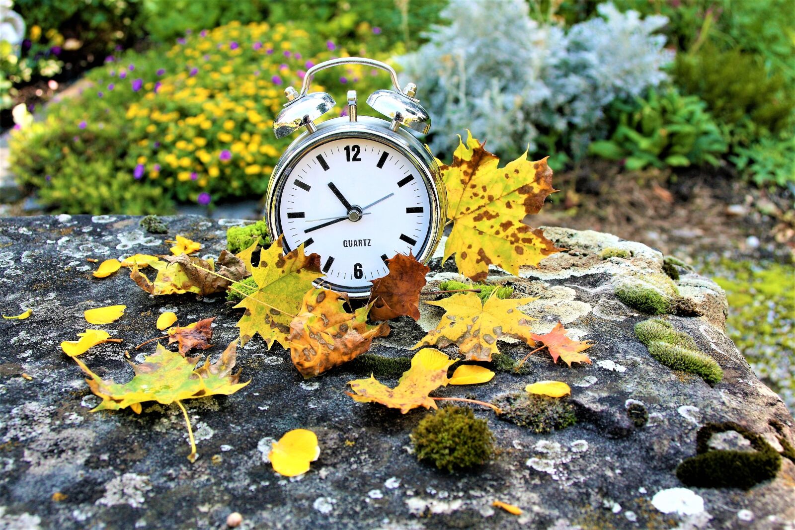 Canon EOS 400D (EOS Digital Rebel XTi / EOS Kiss Digital X) sample photo. Clock, vanishing, autumn photography