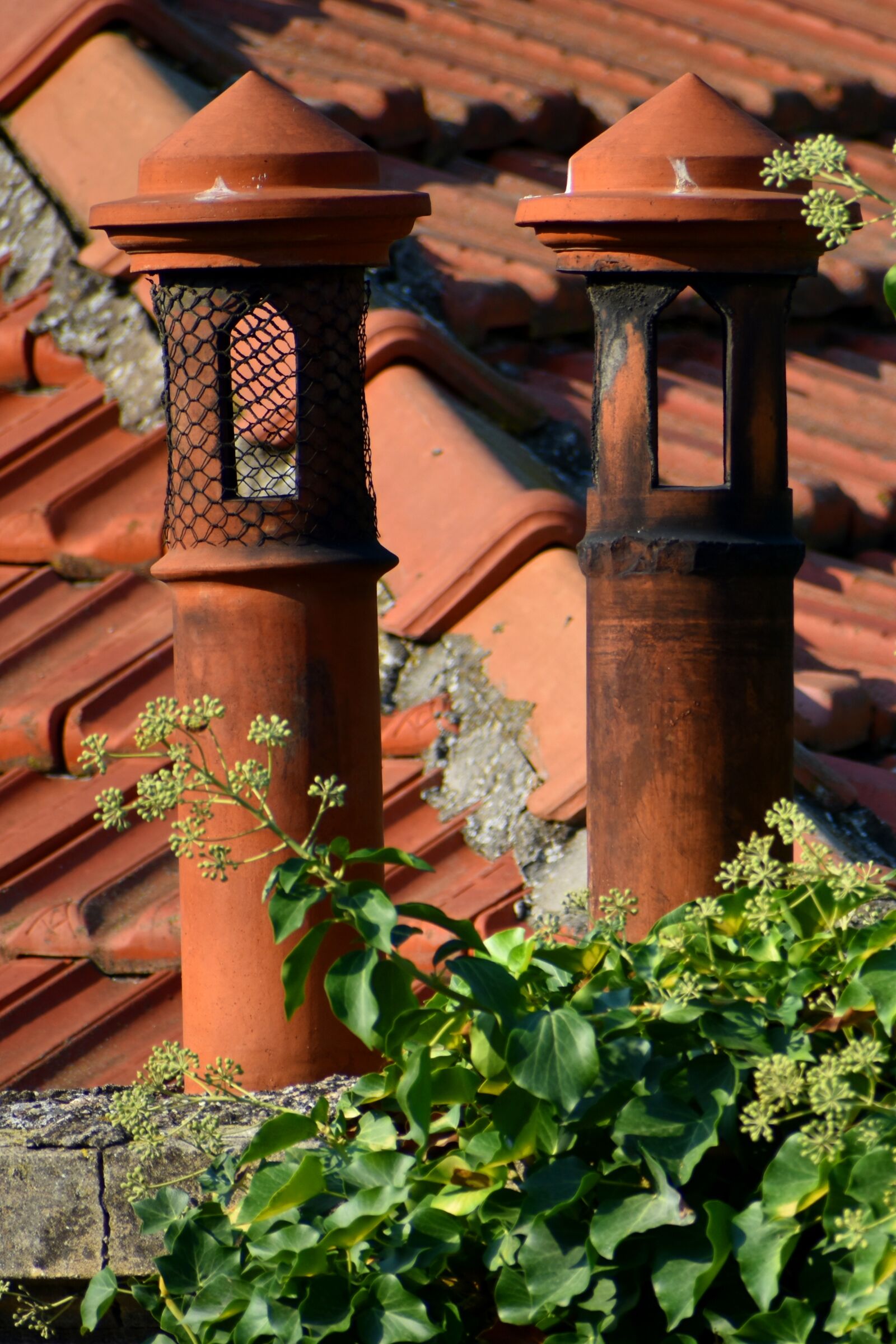 Nikon D3500 sample photo. Chimneys, roof, house photography