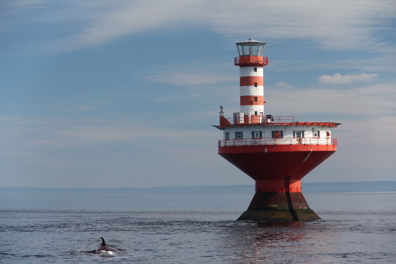 Canon EOS 550D (EOS Rebel T2i / EOS Kiss X4) sample photo. Whales from the lighthouse photography