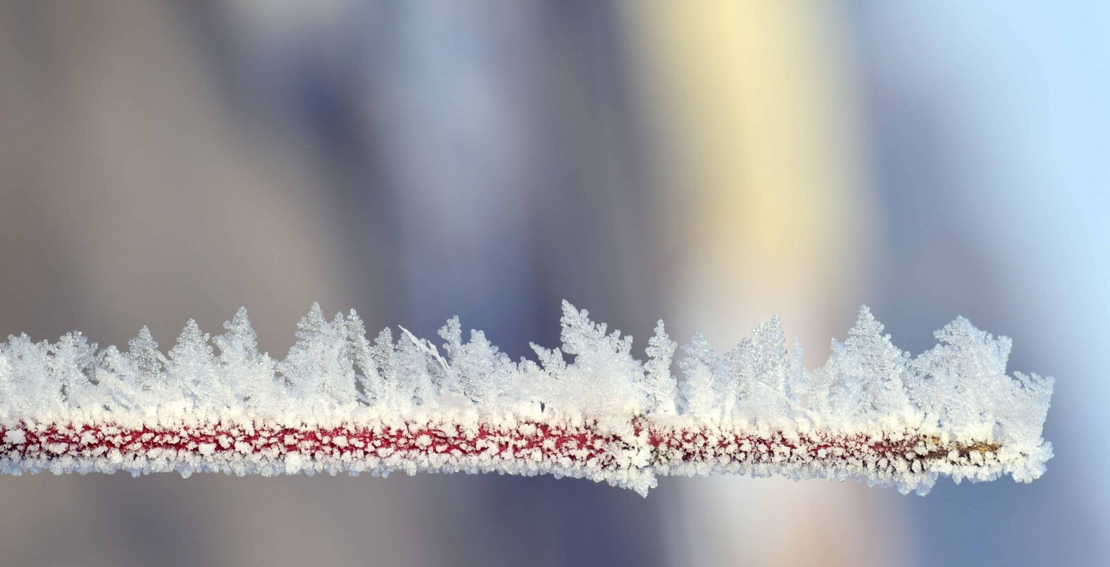 Nikon D3300 sample photo. Winter, frost, nature, snowflake photography