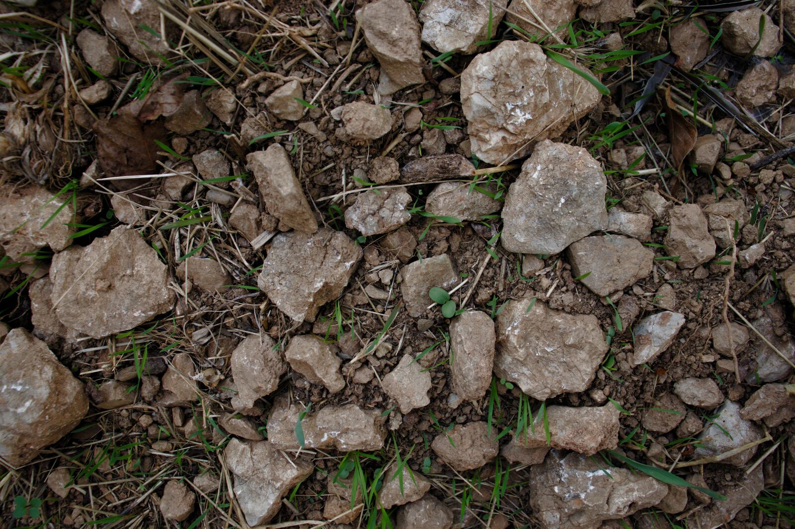 Canon EOS 800D (EOS Rebel T7i / EOS Kiss X9i) sample photo. Soil, rocks, field photography