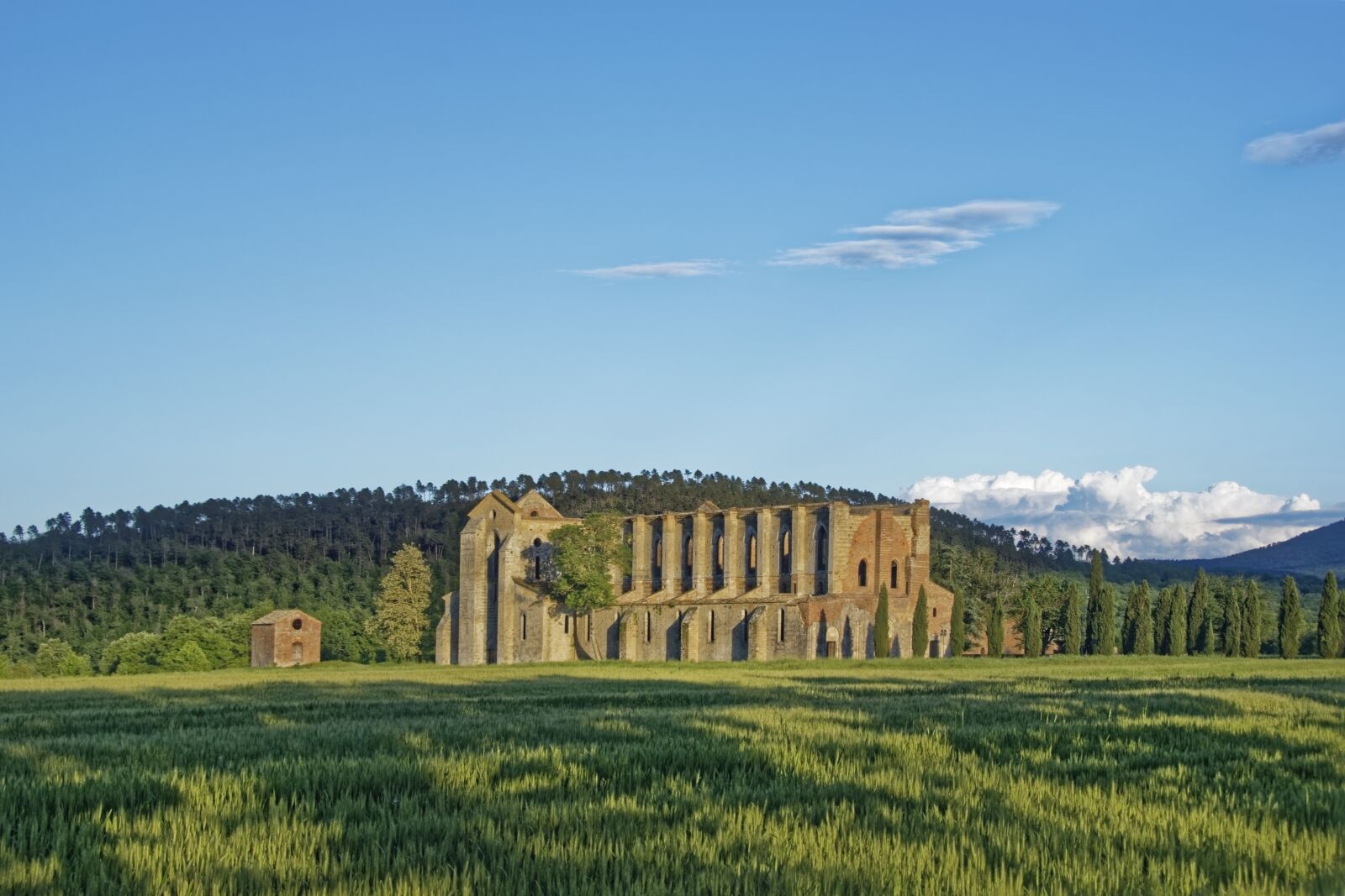 Nikon D500 sample photo. Italy, tuscany, abbazia san photography