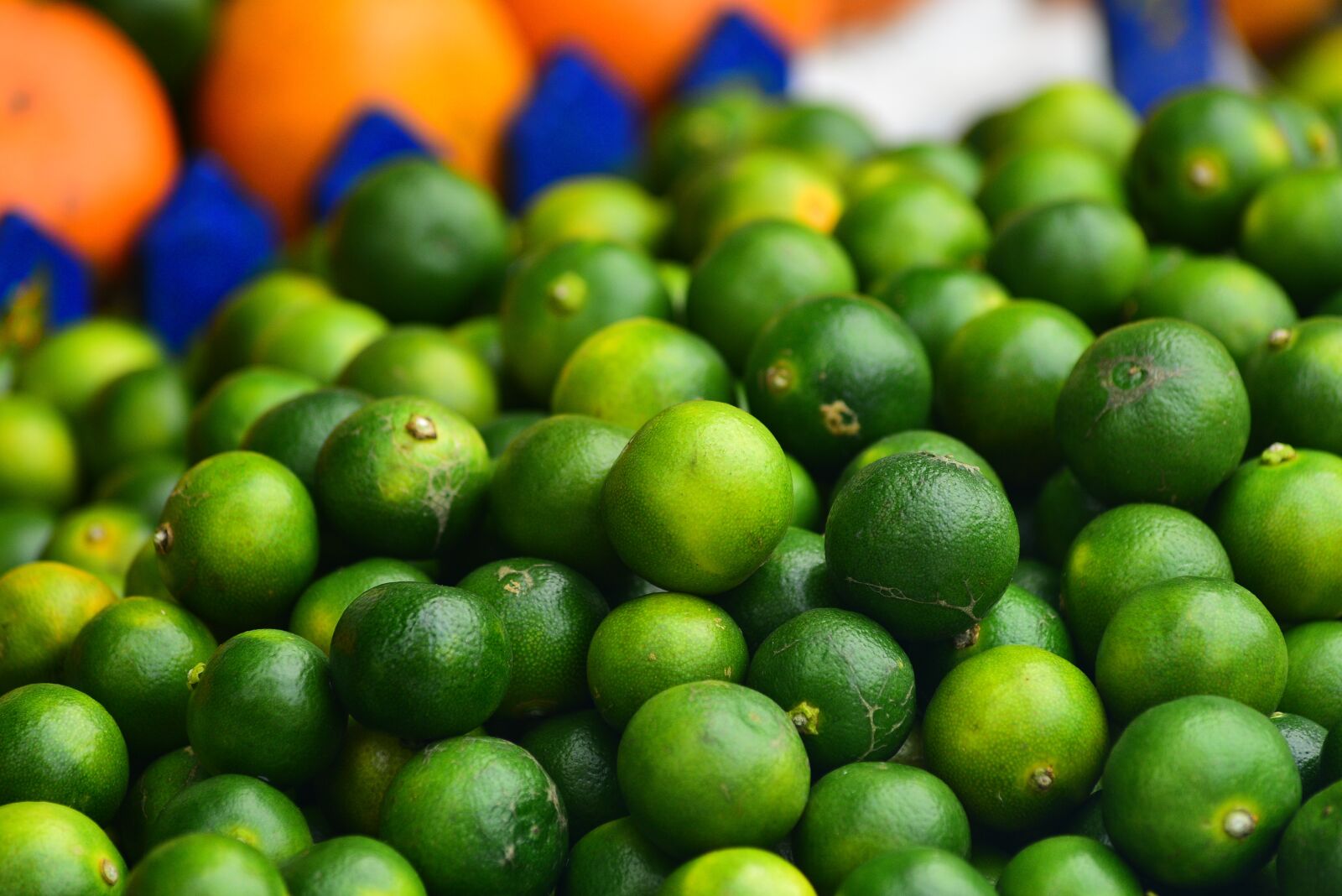 Nikon D750 sample photo. Kumquat, fruit, sour photography