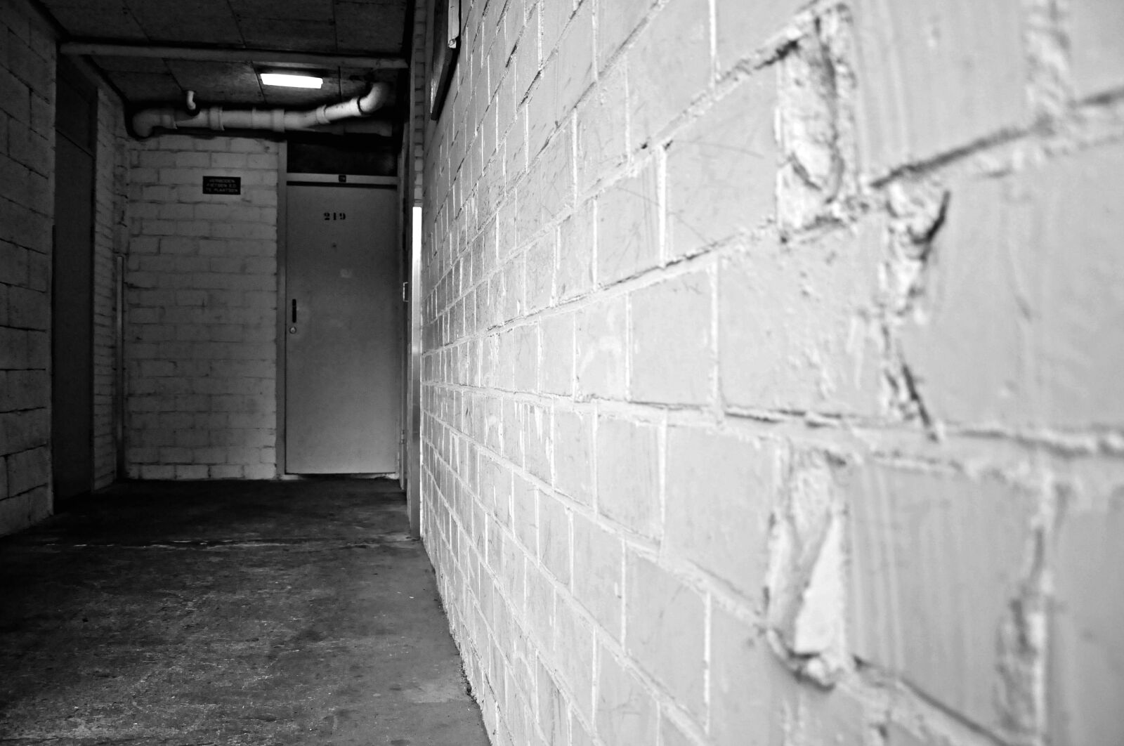 Nikon D90 sample photo. Basement, brick, wall, dark photography