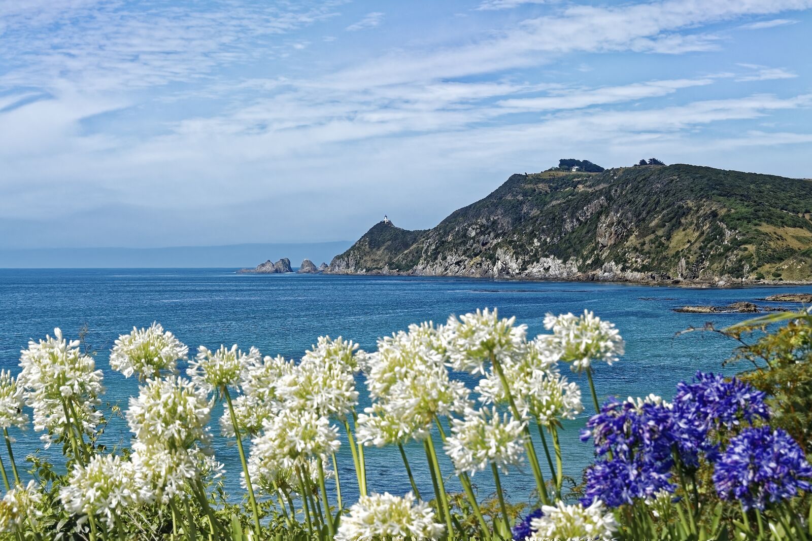 Nikon D500 sample photo. New zealand, nugget point photography